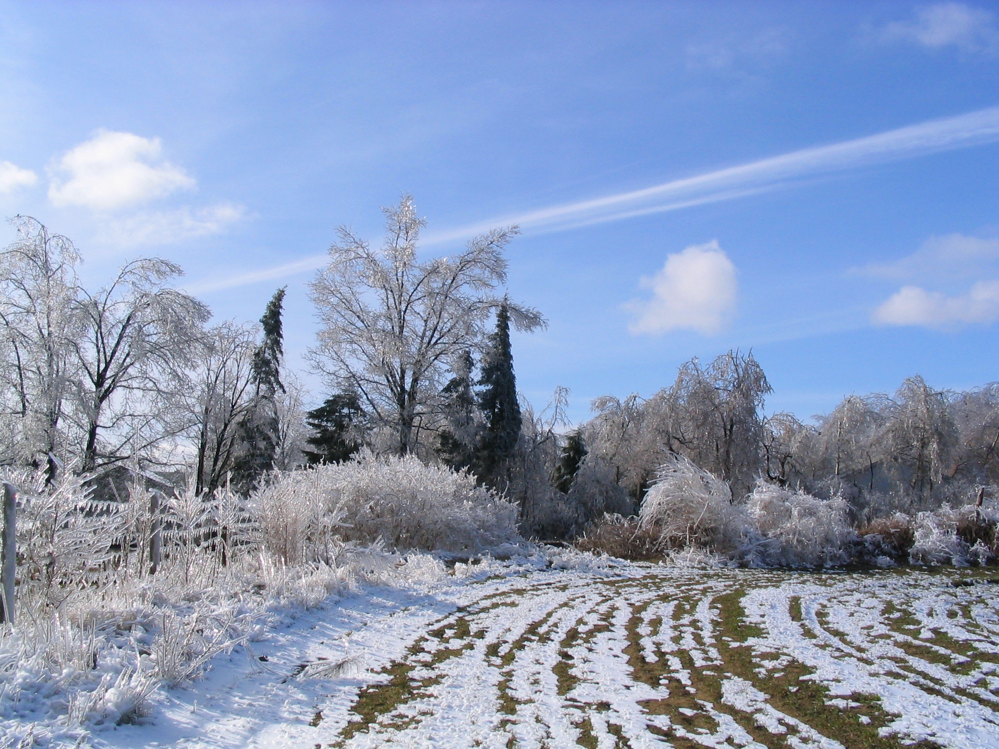 Snow Blue Sky Frozen free image download