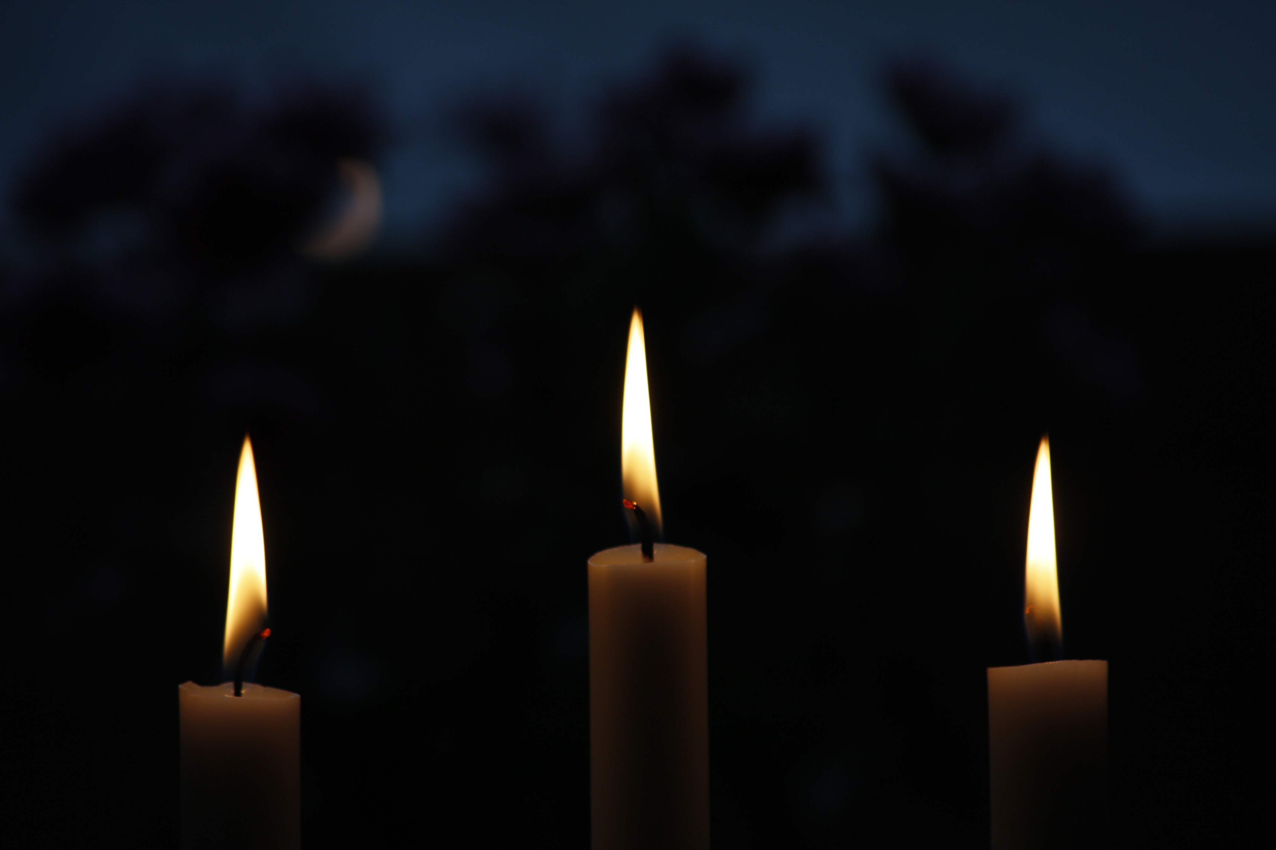 Candle Flames Christmas free image download