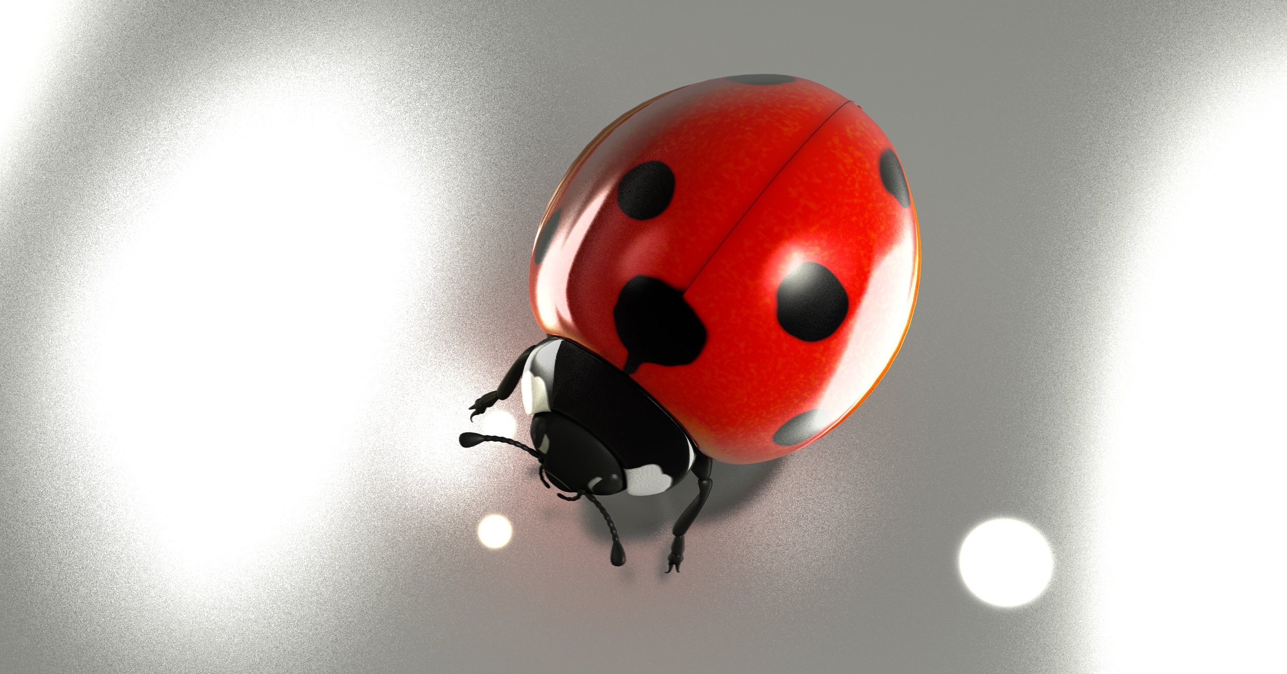 Luck lucky ladybug 2017 good luck free image download