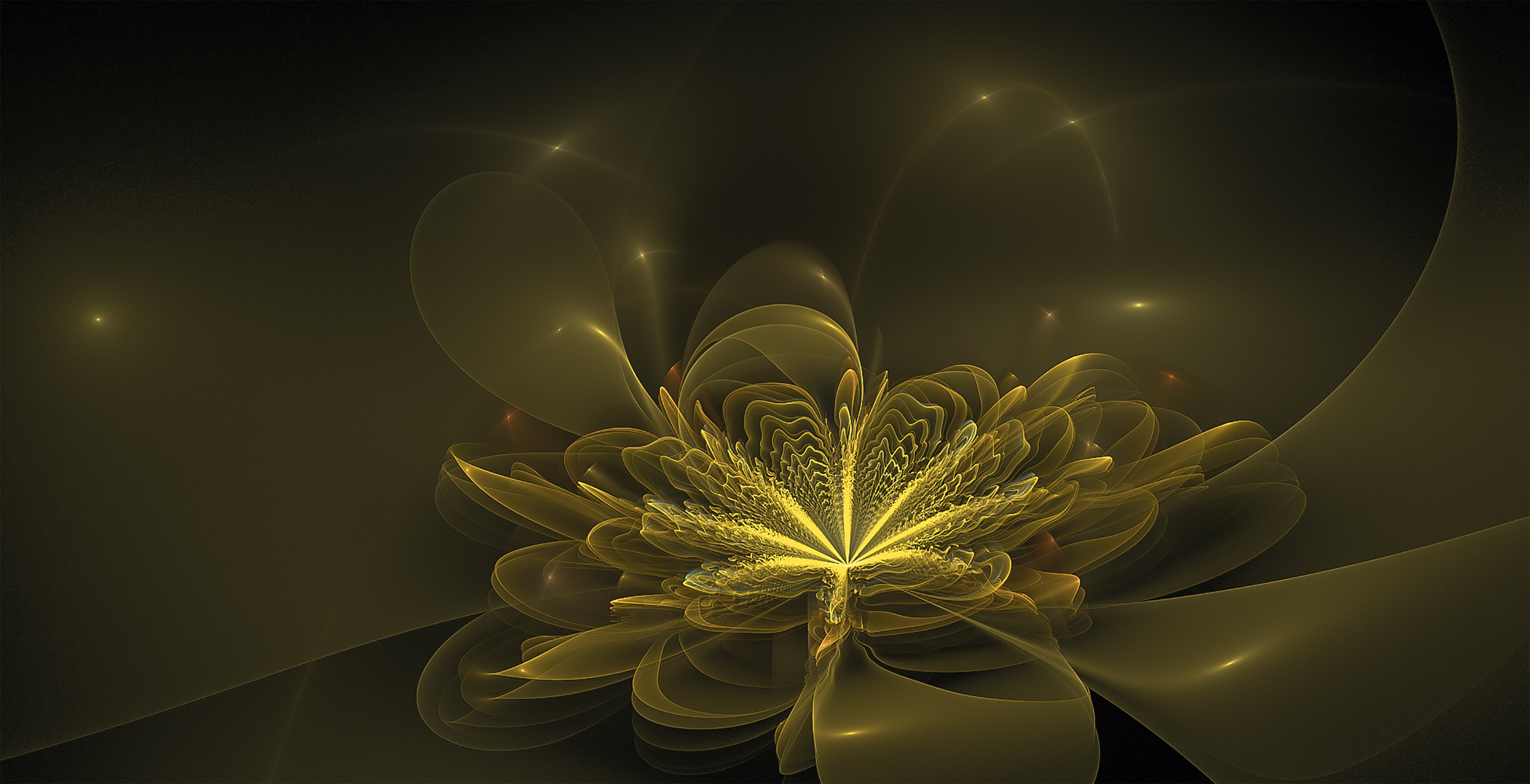Fractal flower bloom floral free image download