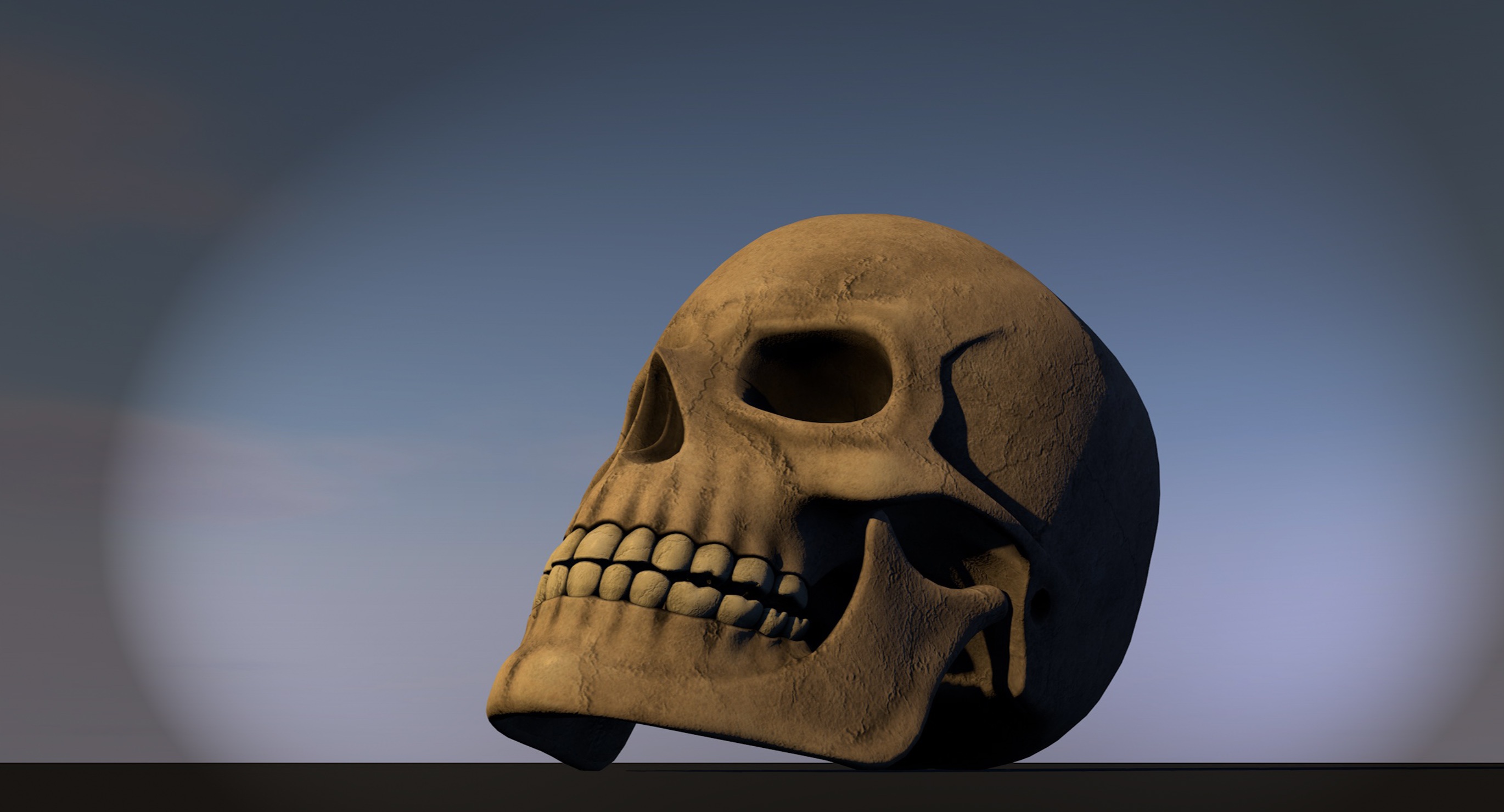 Human Skull 3d Model Free Image Download