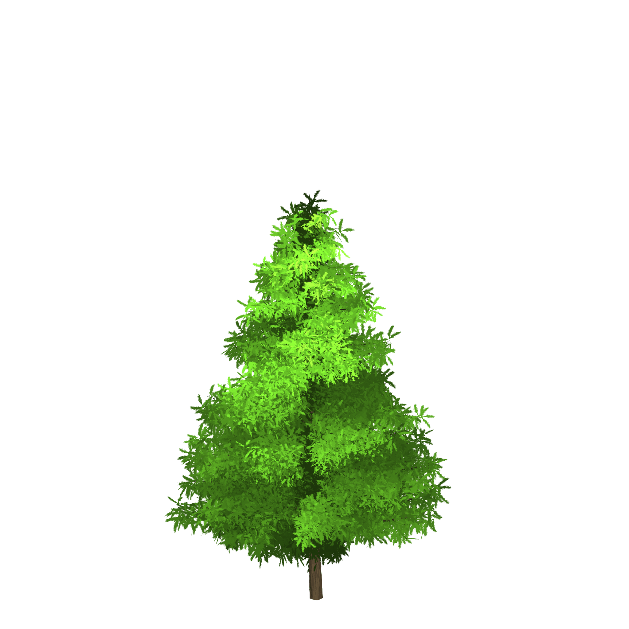 Spruce tree green painted tree free image download