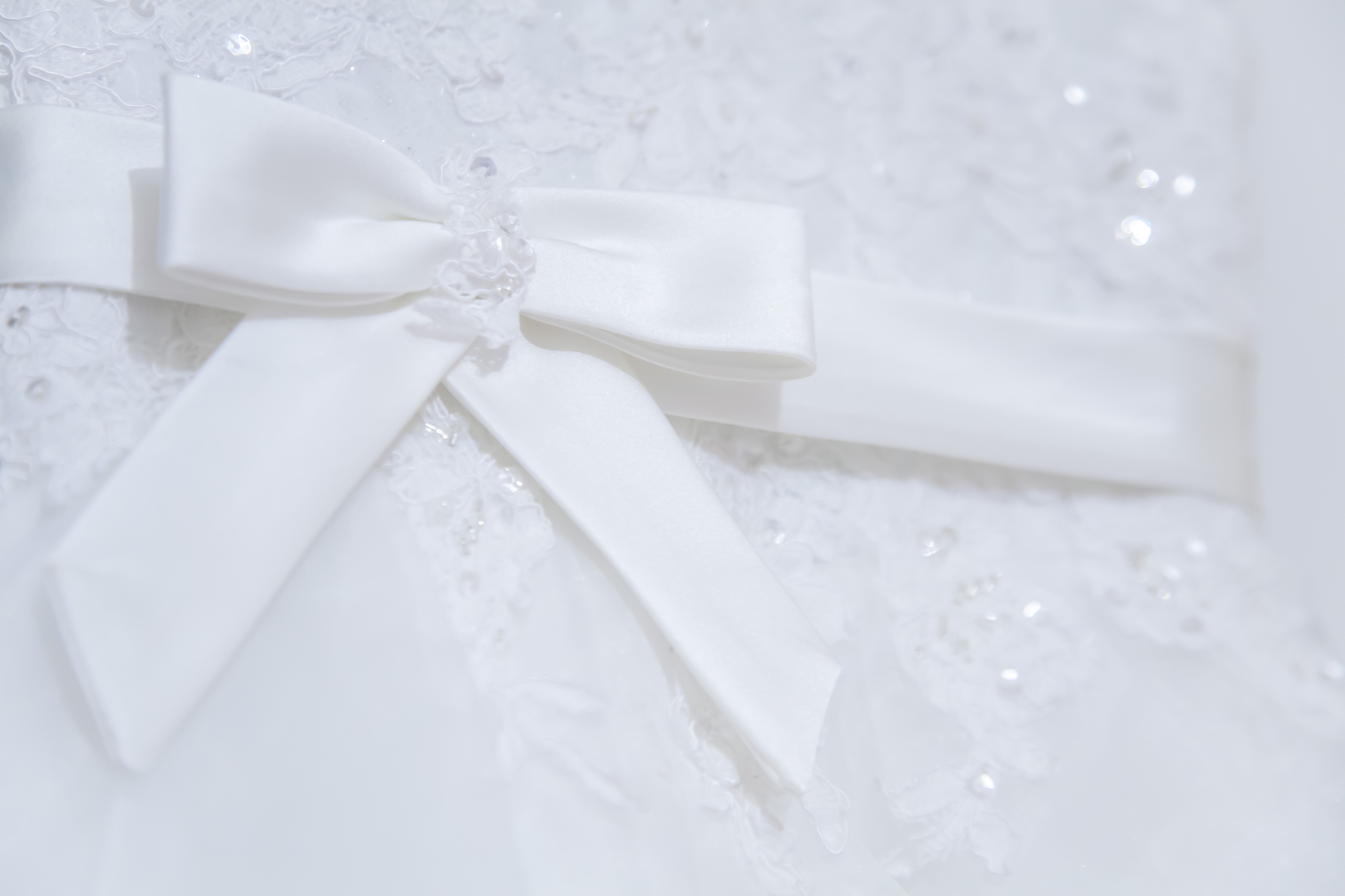 Wedding Dress Ribbon Satin free image download