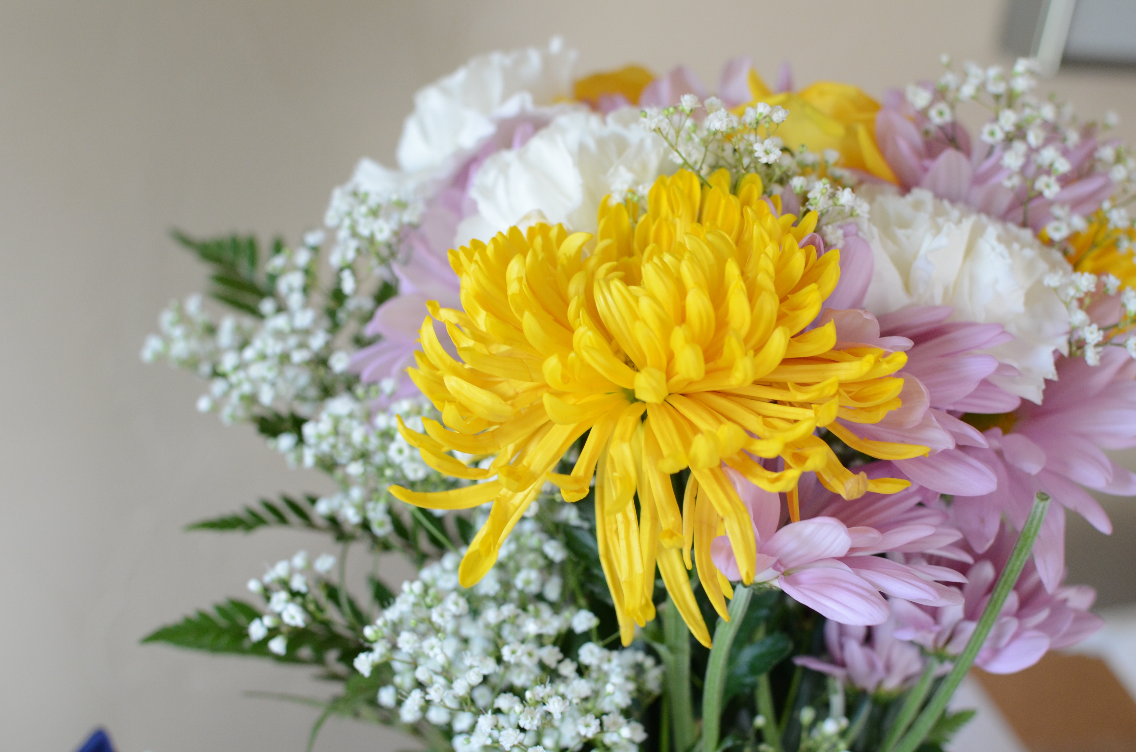Bouquet of flowers in color free image download