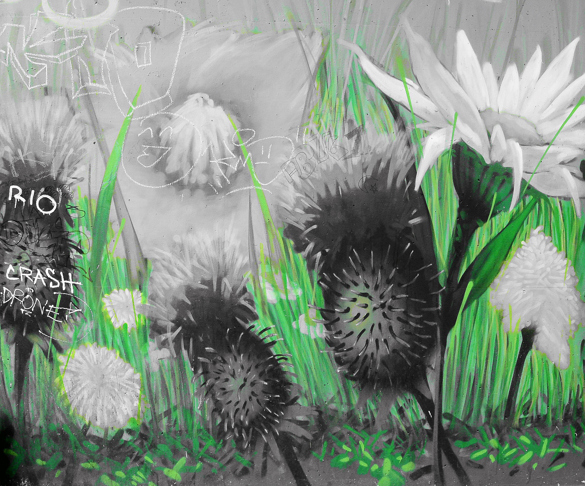 Graffiti flowers on the wall of a building free image download