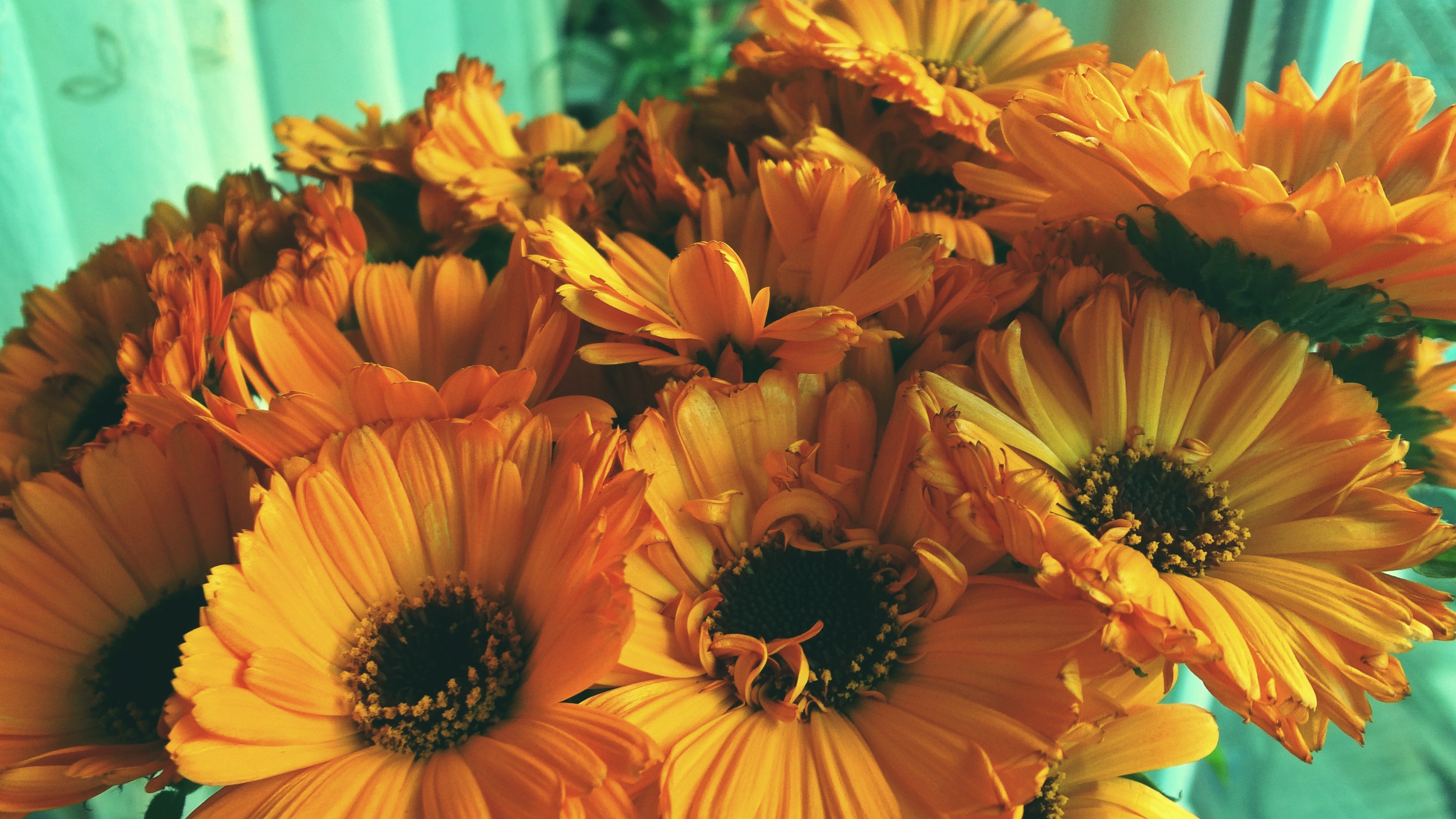 Fall orange blossoms bouquet free image download