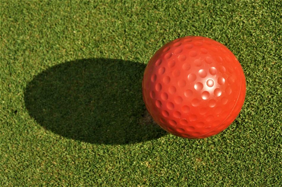 Sport Golf Ball on lawn free image download