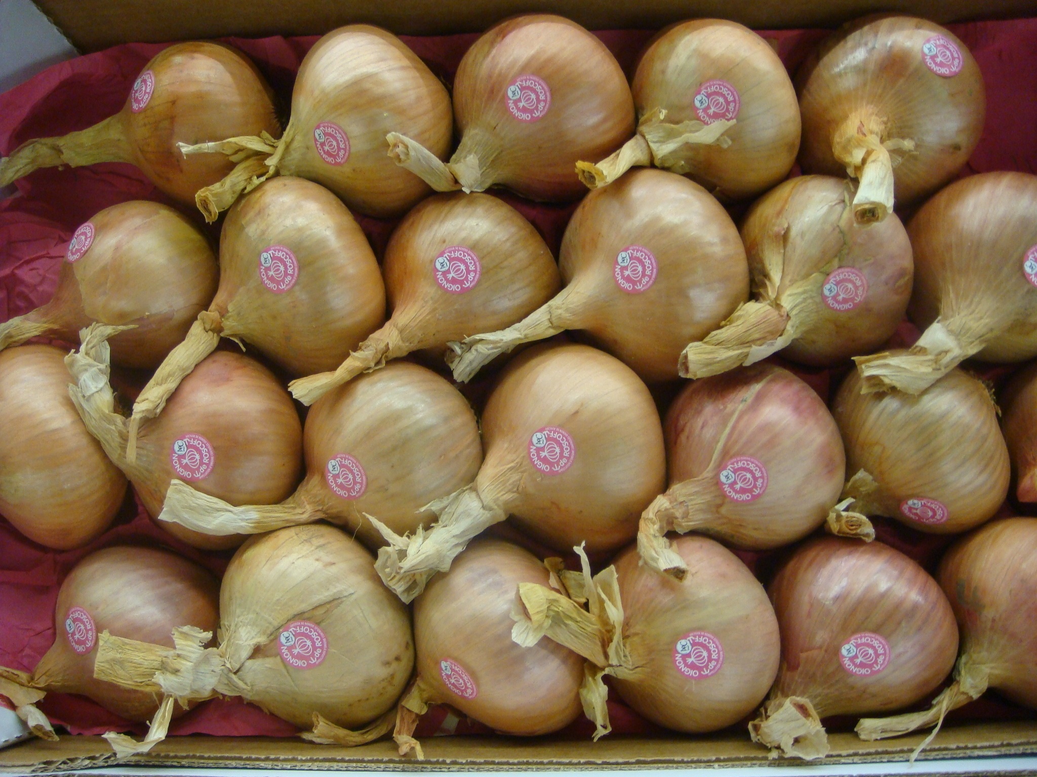 Ripe onions for sale free image download