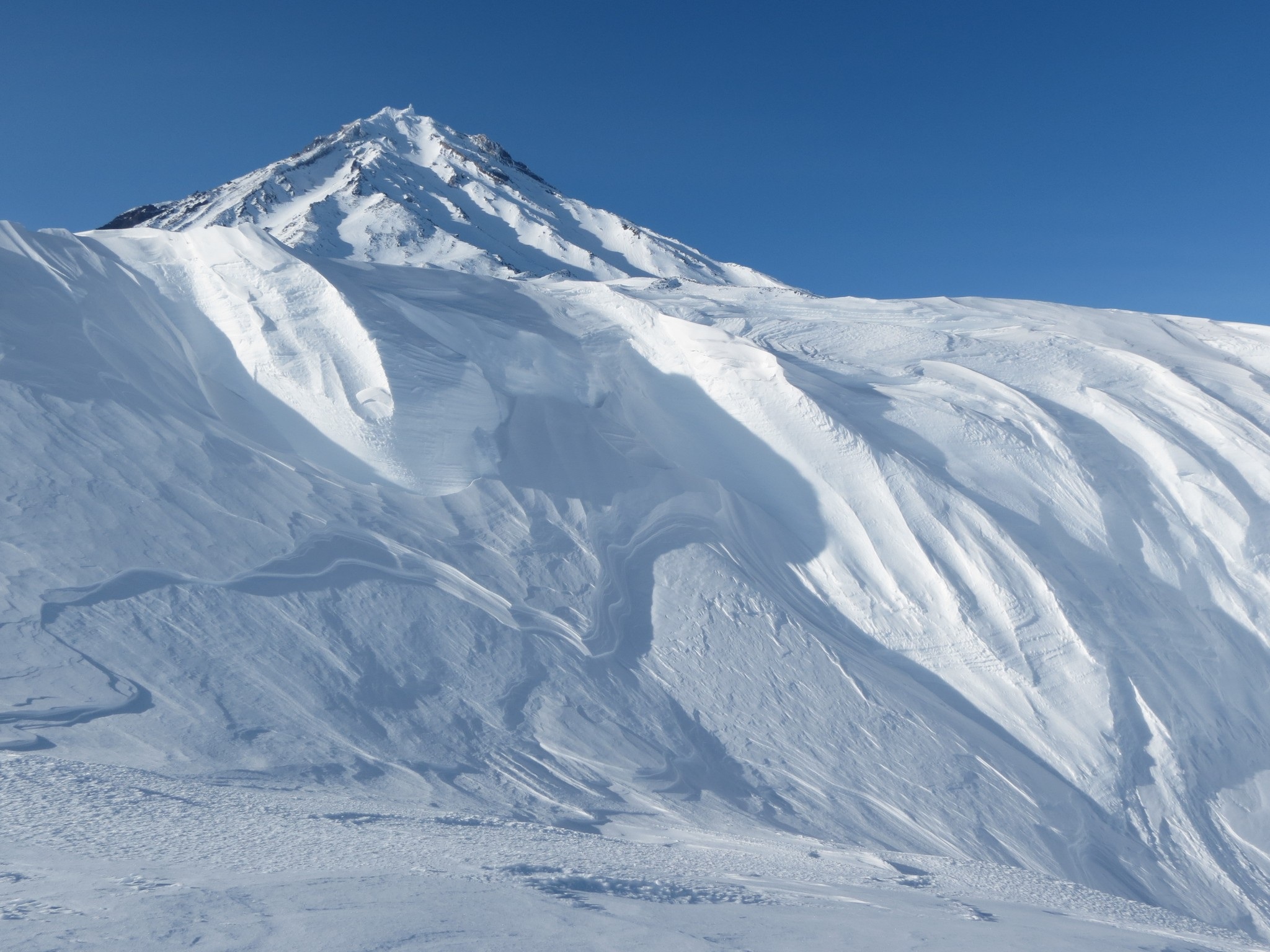 Winter Snow Frost free image download