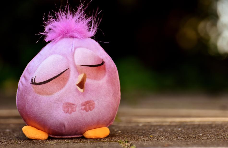 Bird Soft Toy Funny free image download