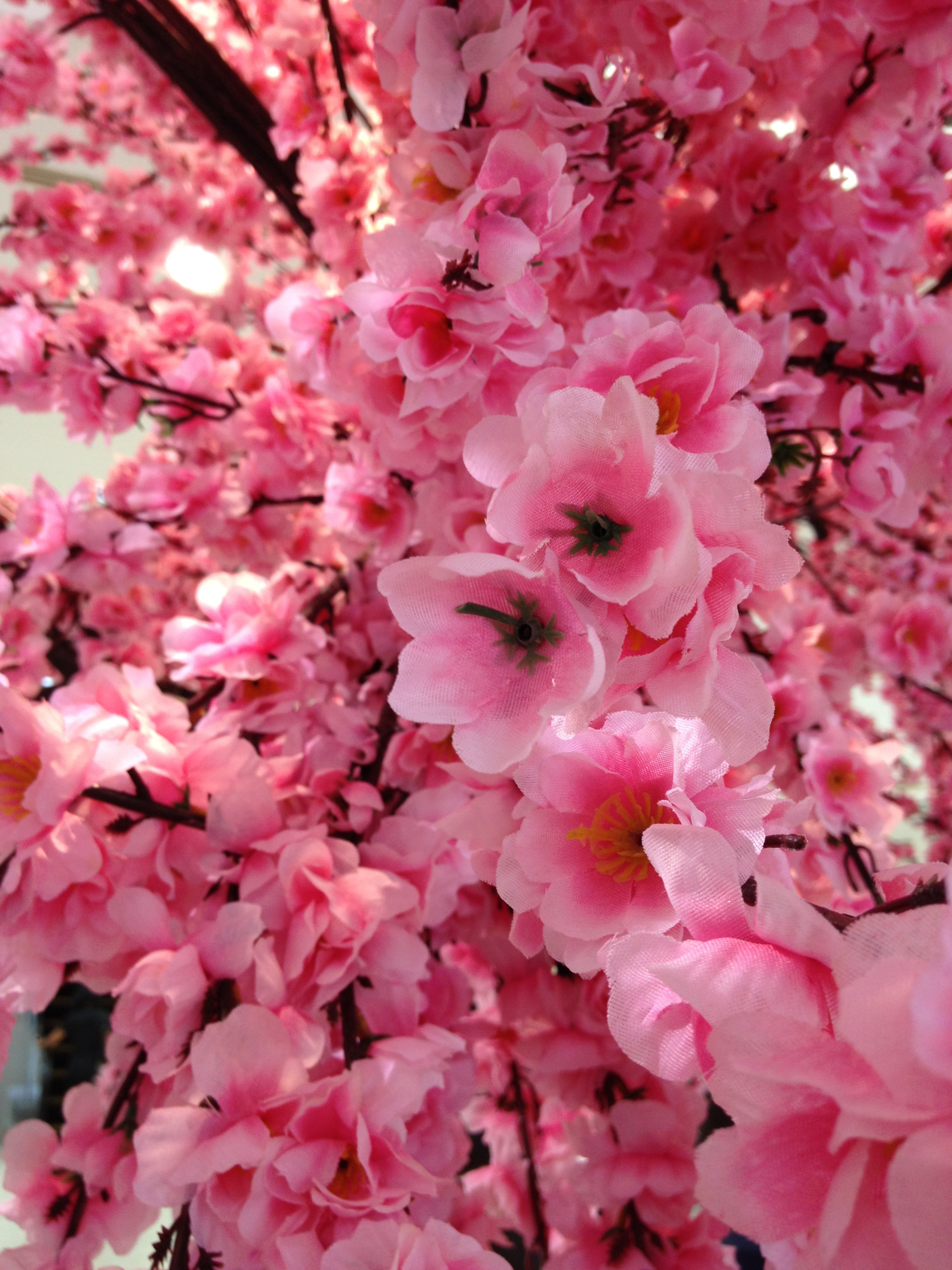 Sakura Fake Flowers free image download