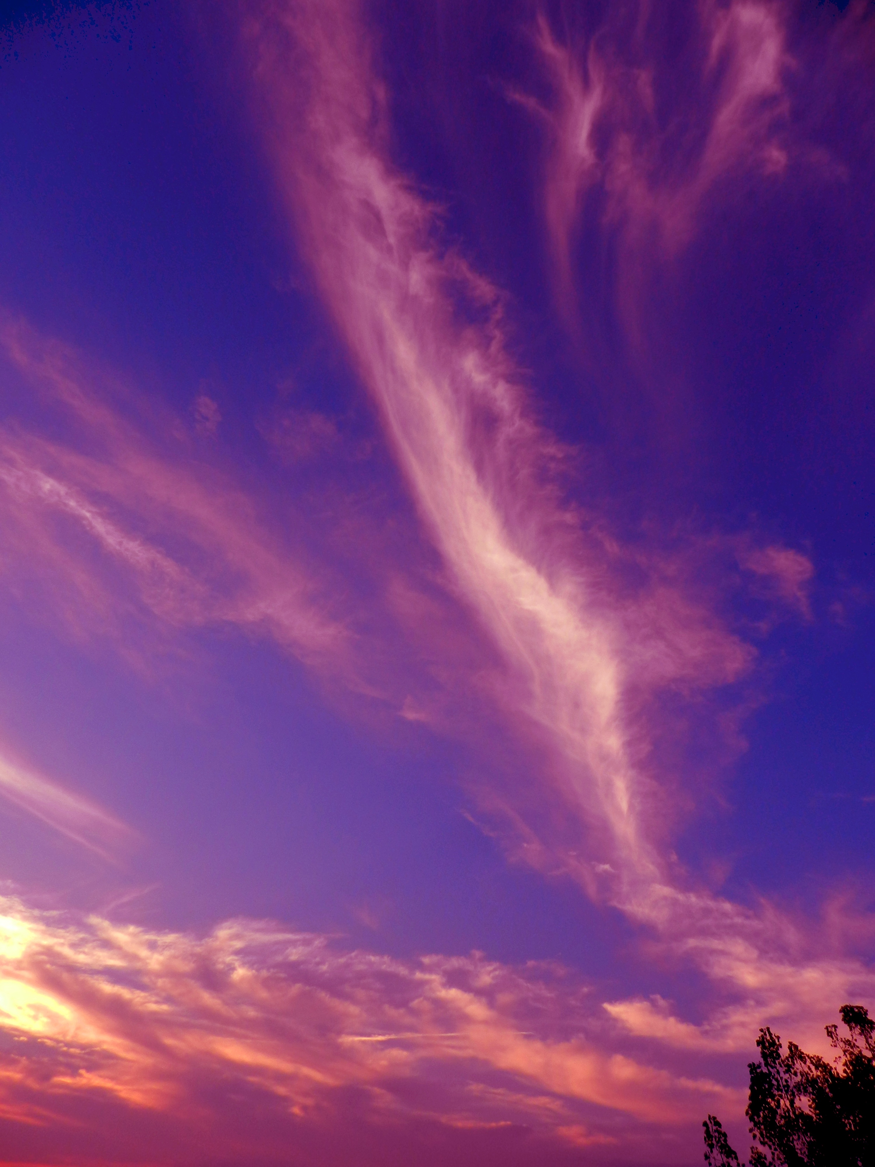 Colors Purple Clouds free image download