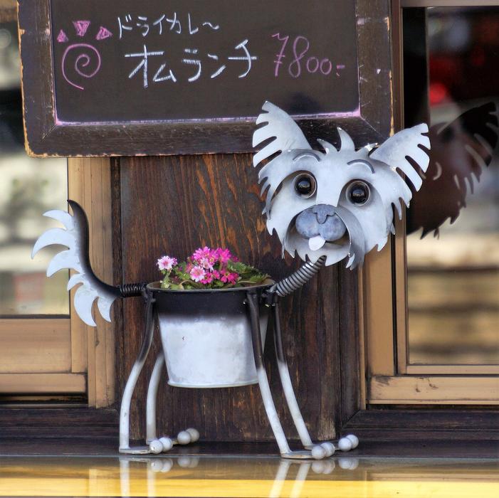 Dog Pot Plant free image download