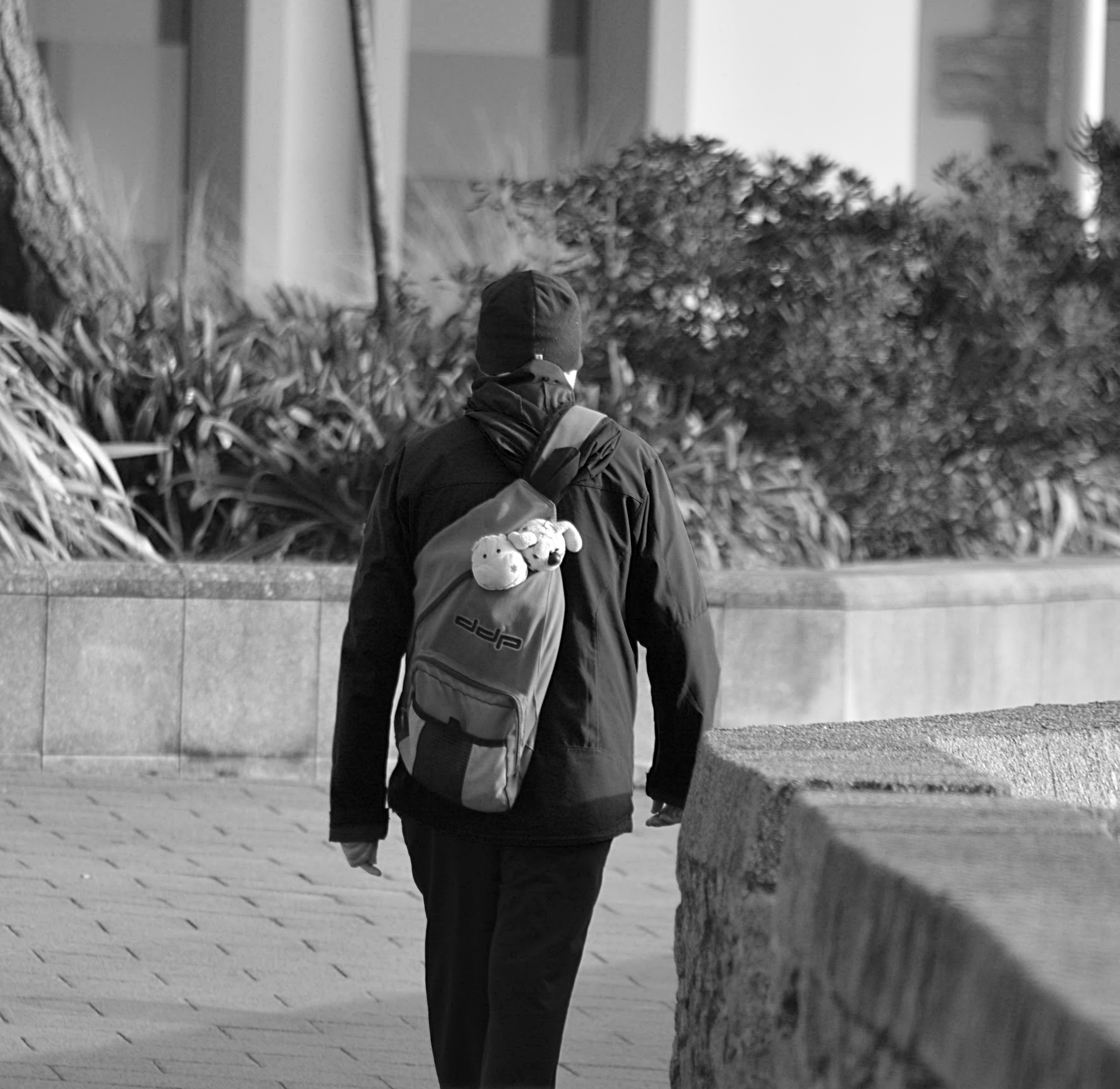 Man with backpack walking away free image download