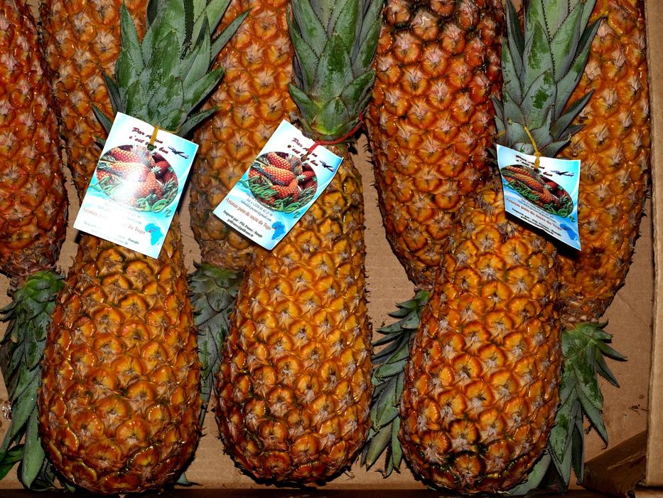 Pineapples on sale free image download