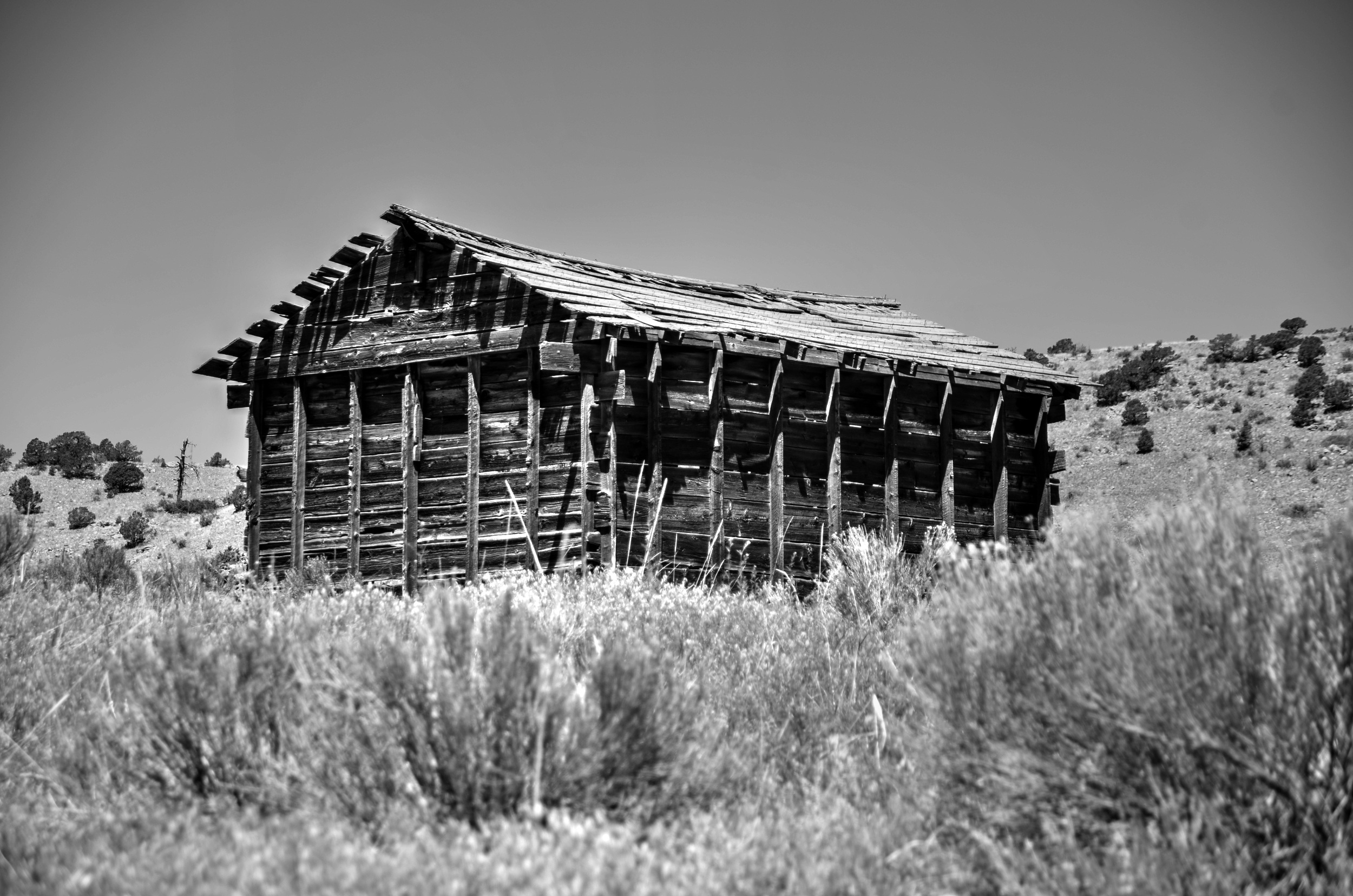 Barn Black And White free image download