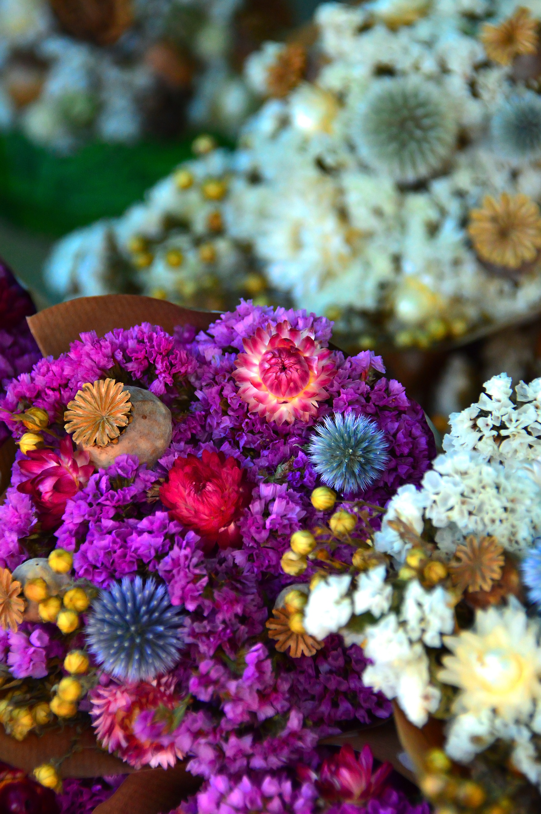 Dried Flower Color Wreath free image download