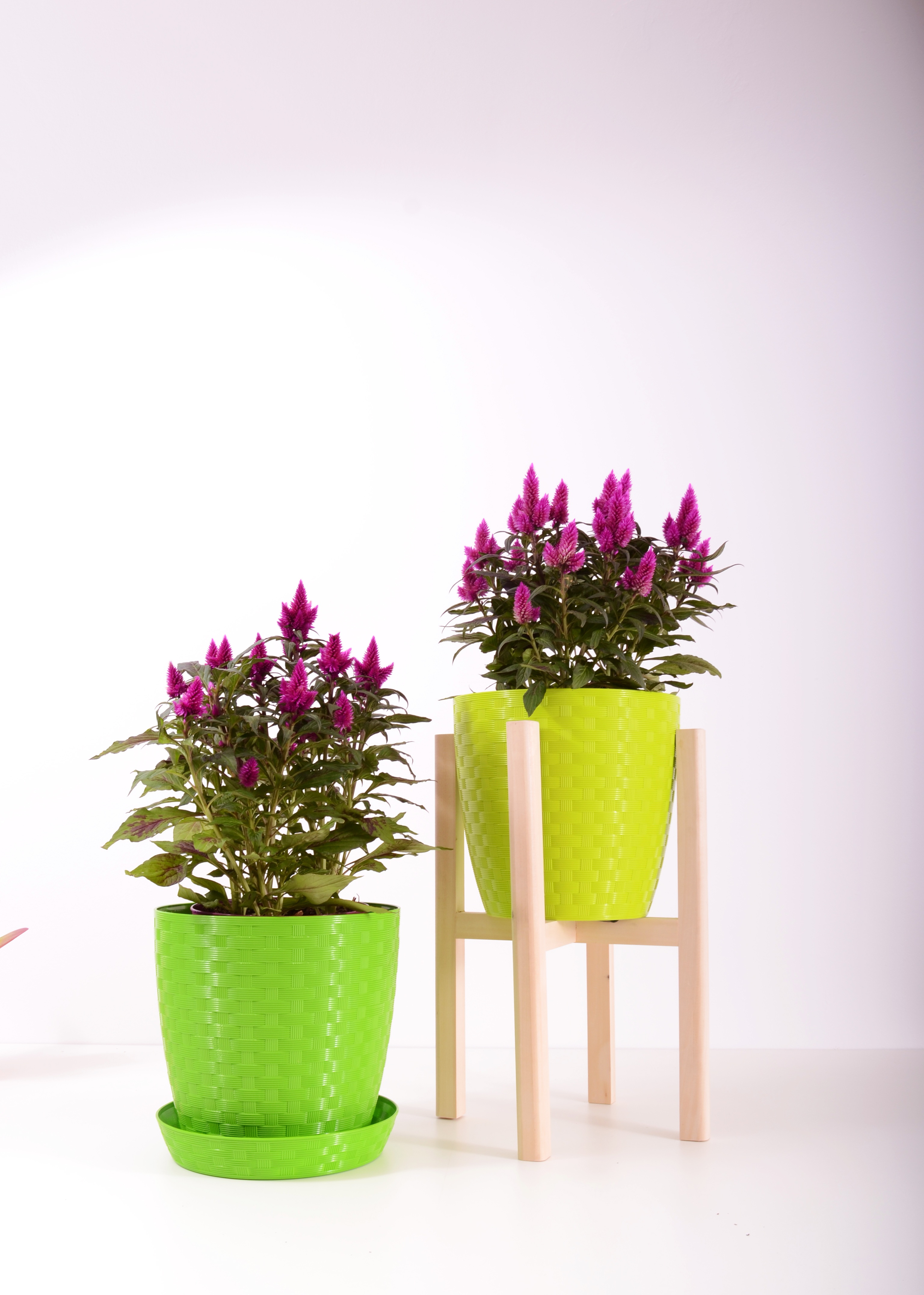 Plants Flowerpot Plastic free image download