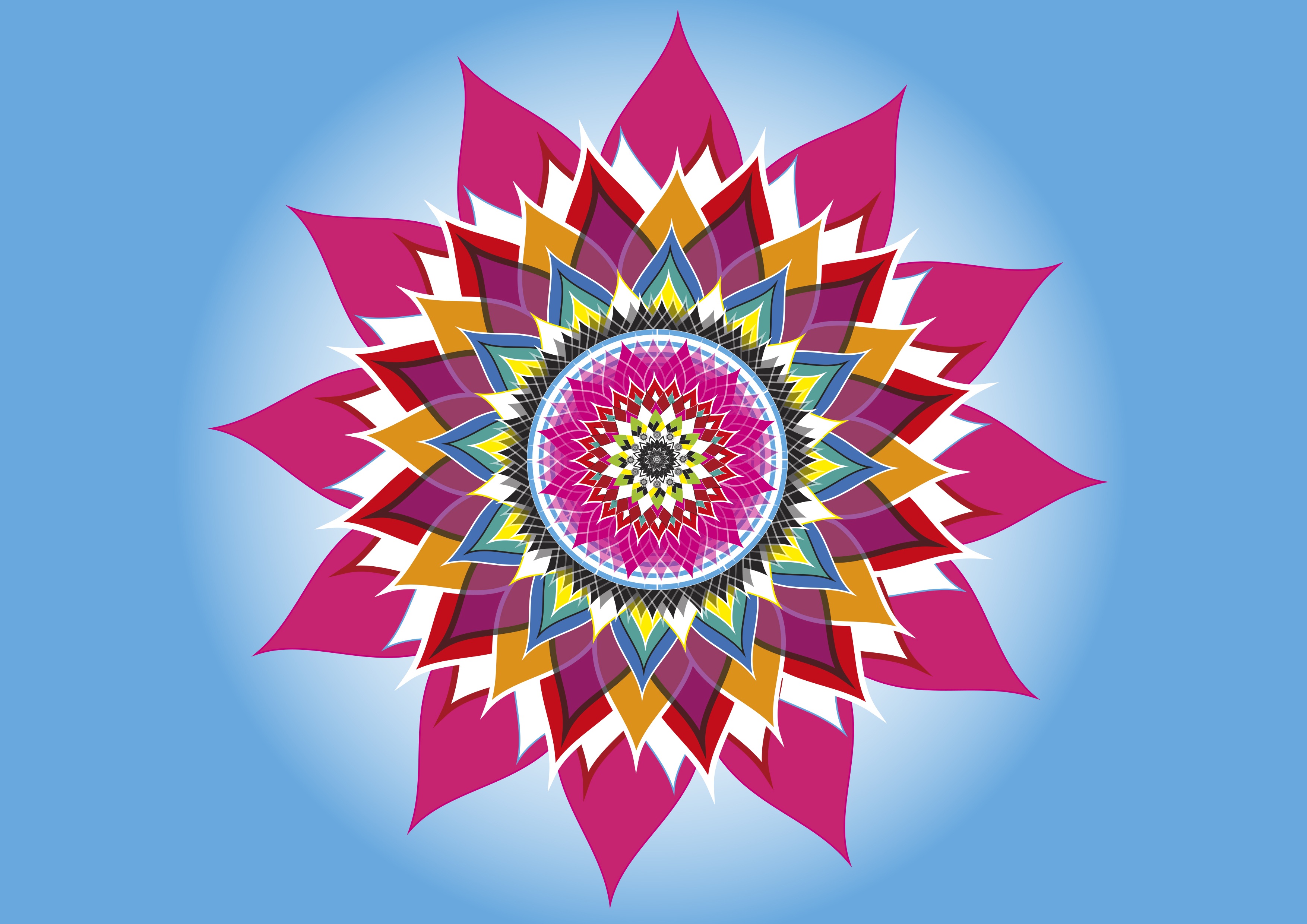 Pink lotus flower line graphic free image download