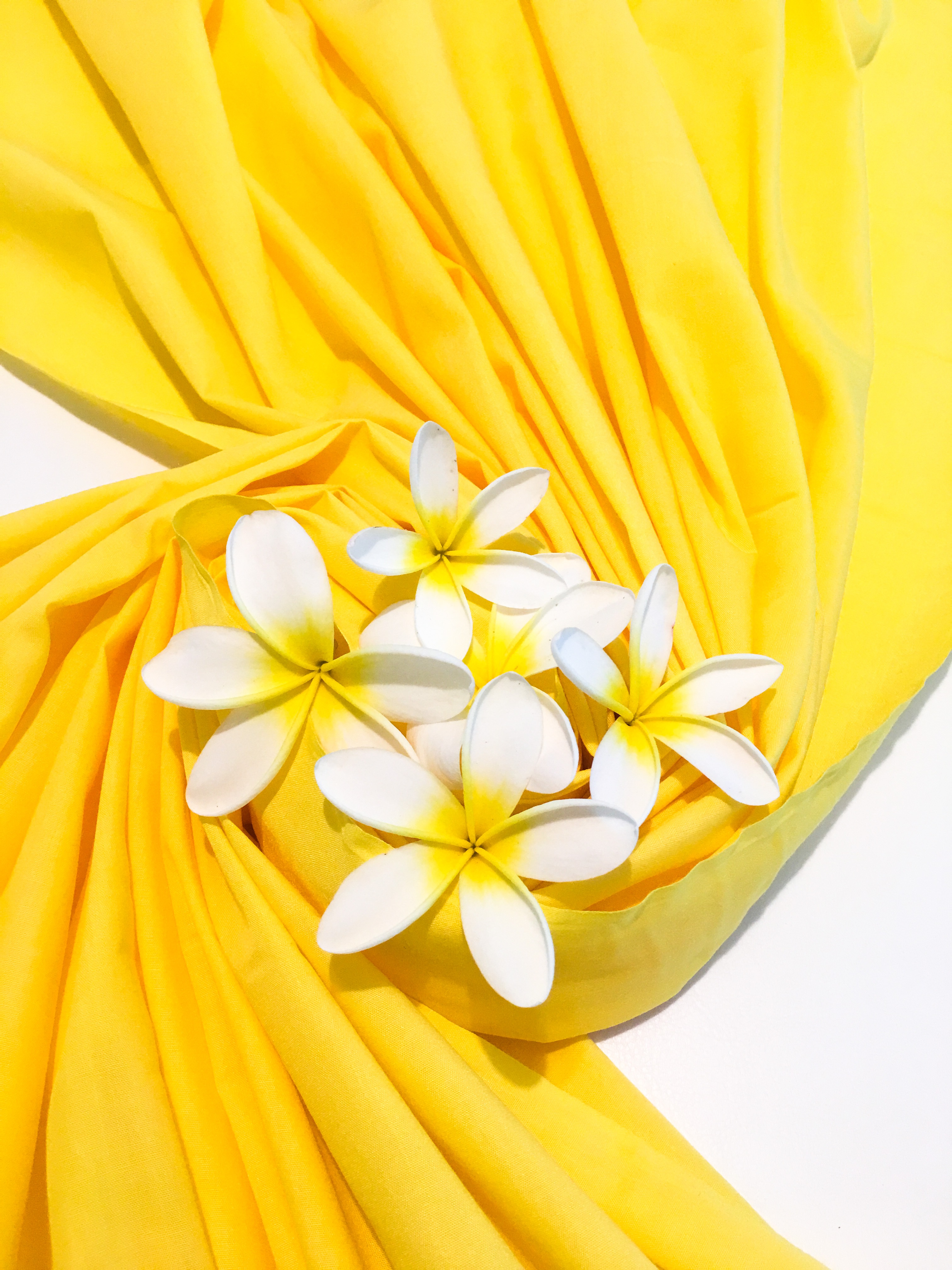 Yellow curtain with white flowers free image download