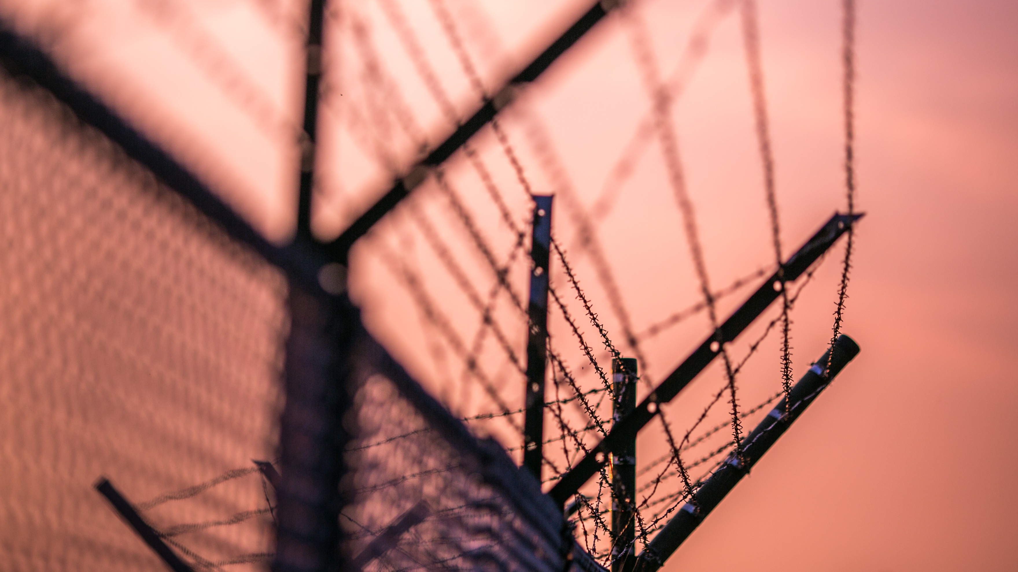 Fence Barbed Wire free image download