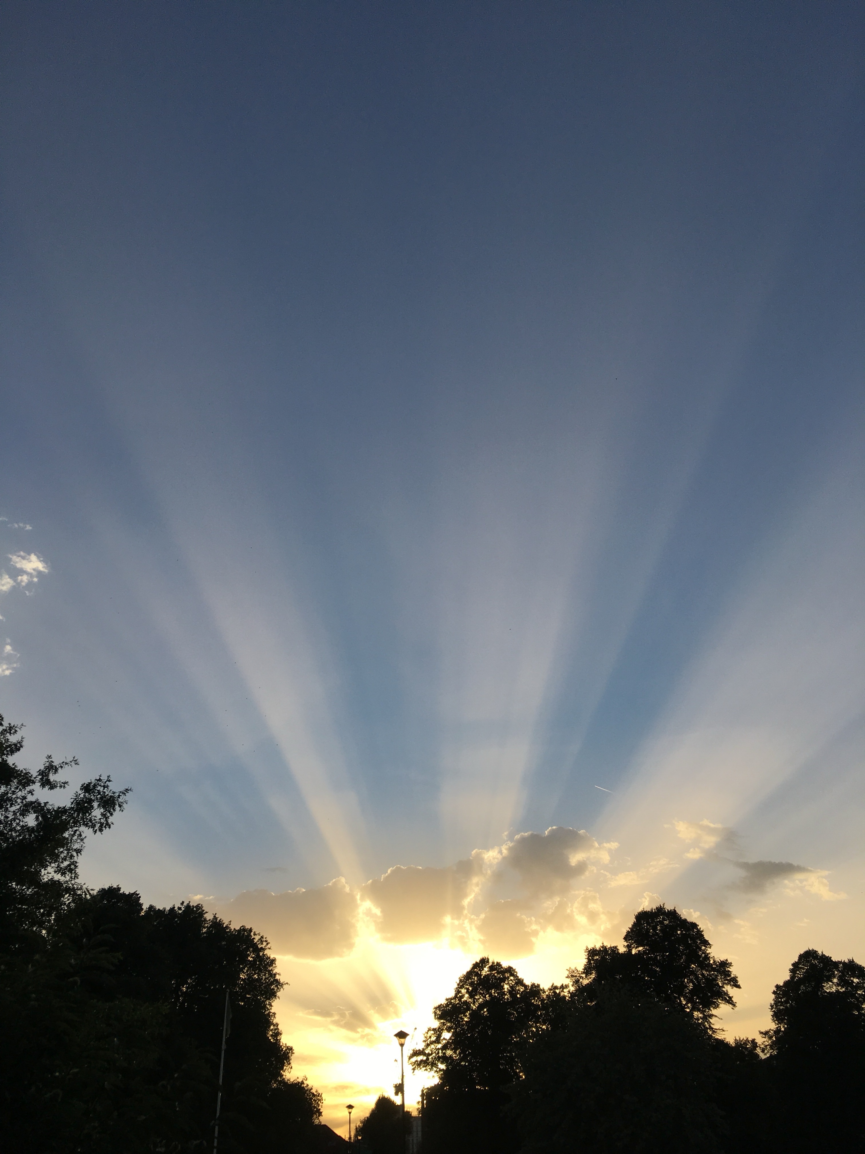 Sun Sunshine Sunlight free image download