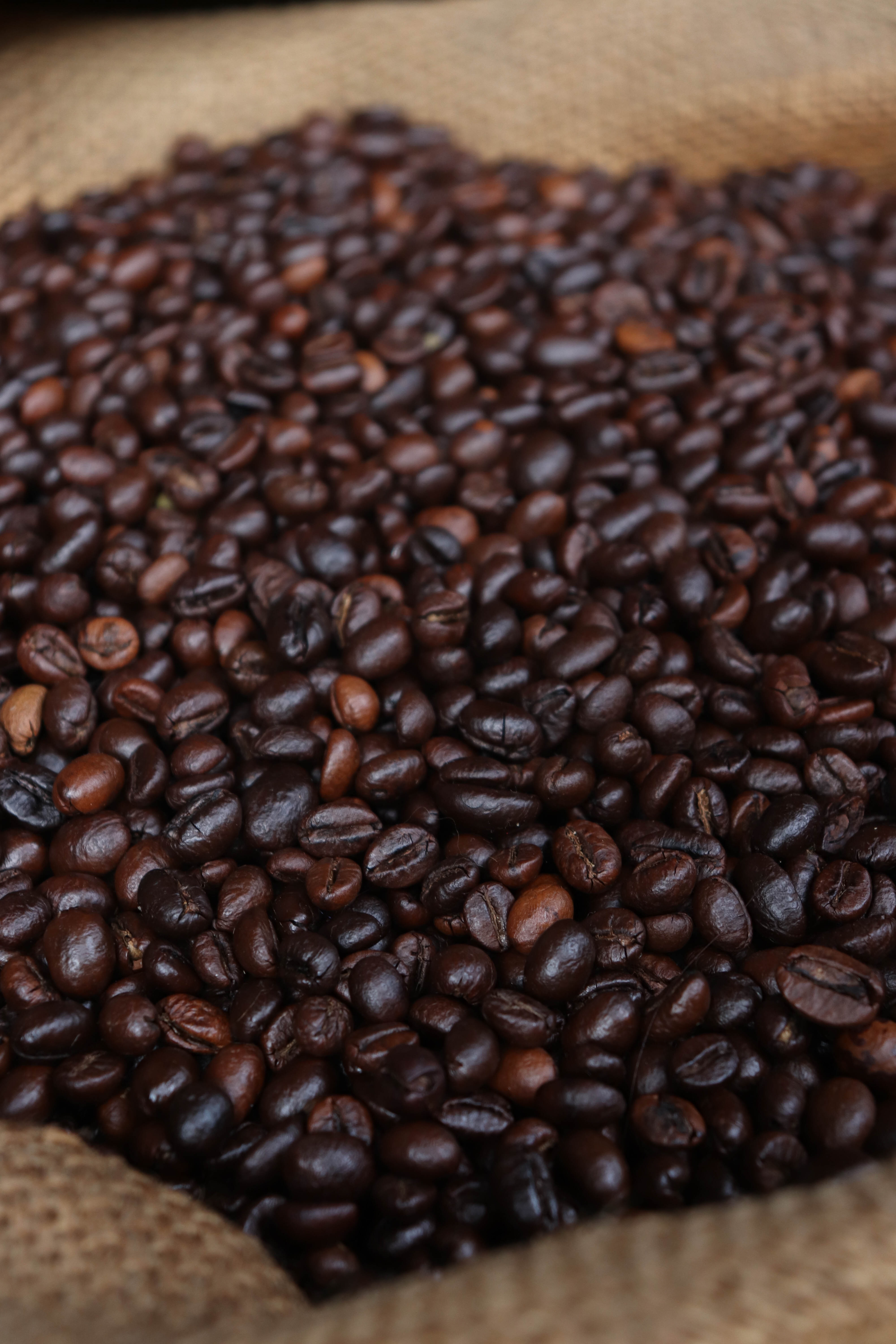 Roasted coffee beans in bags free image download