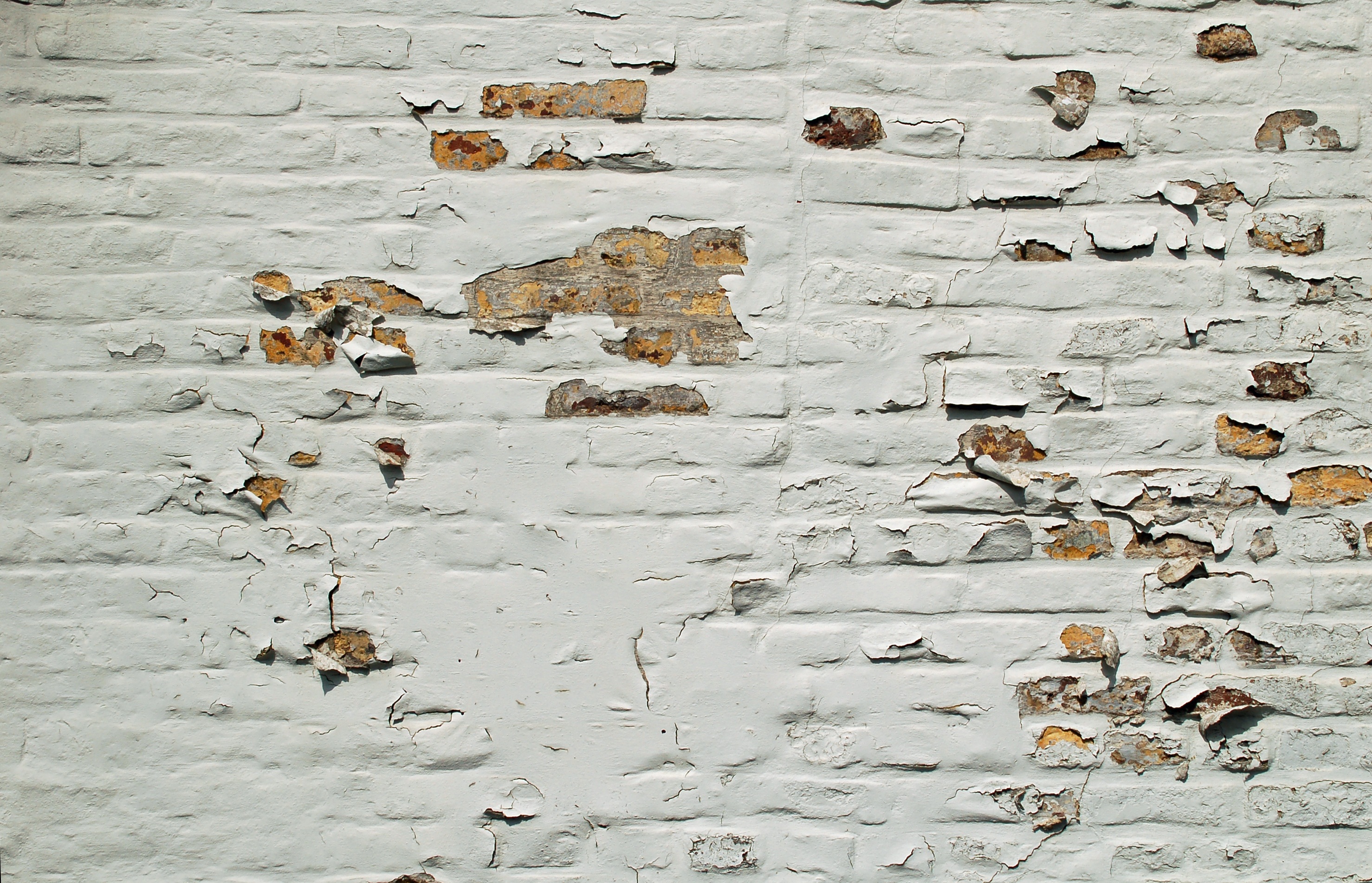 Wall White Paint Peeled free image download