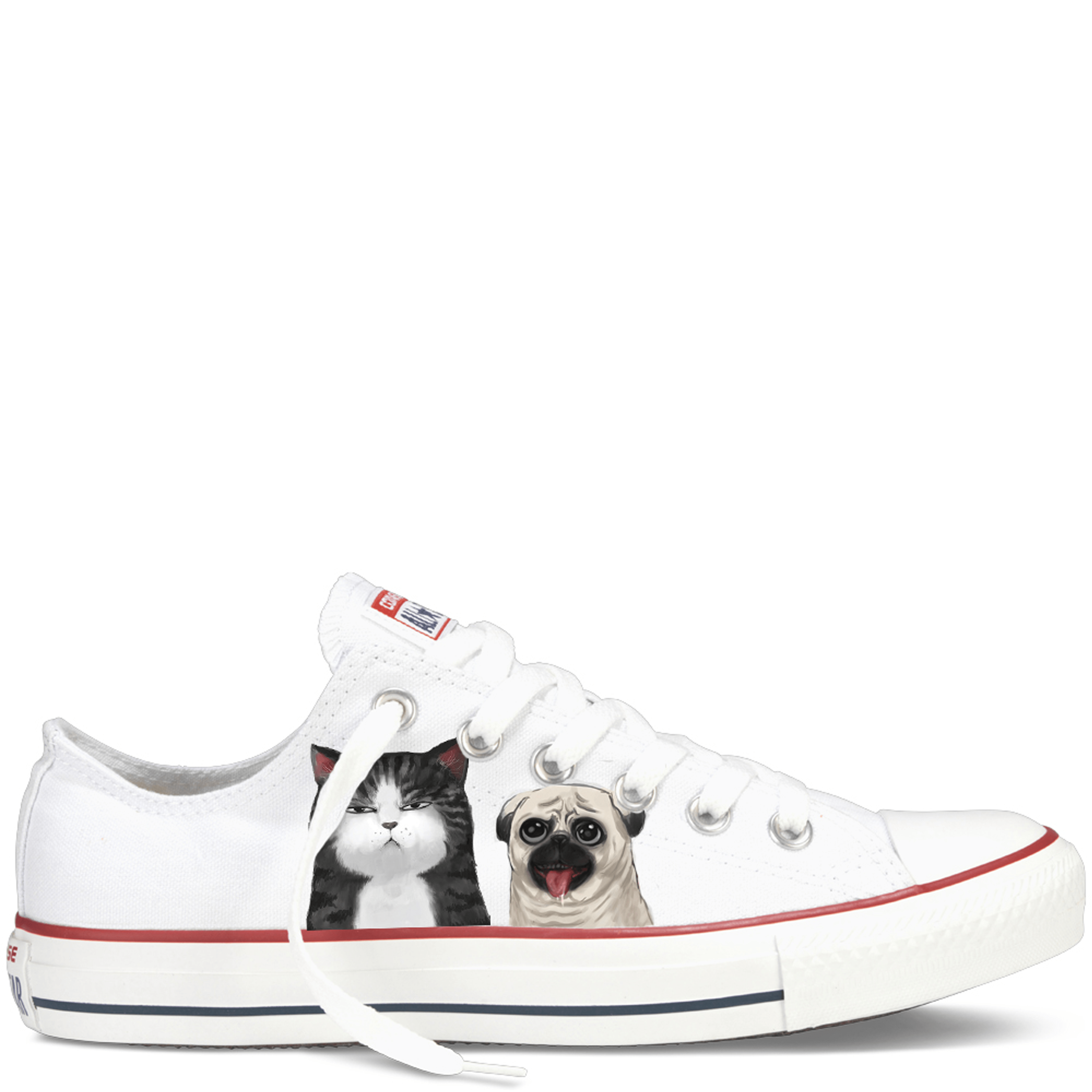 Cats Dog Shoes free image download