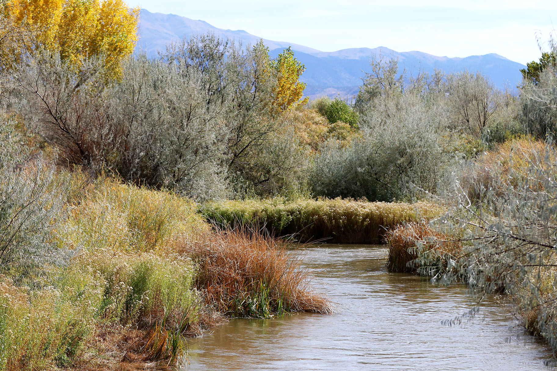 Walker River State Recreation Area A Must See The Pizen Switch Times