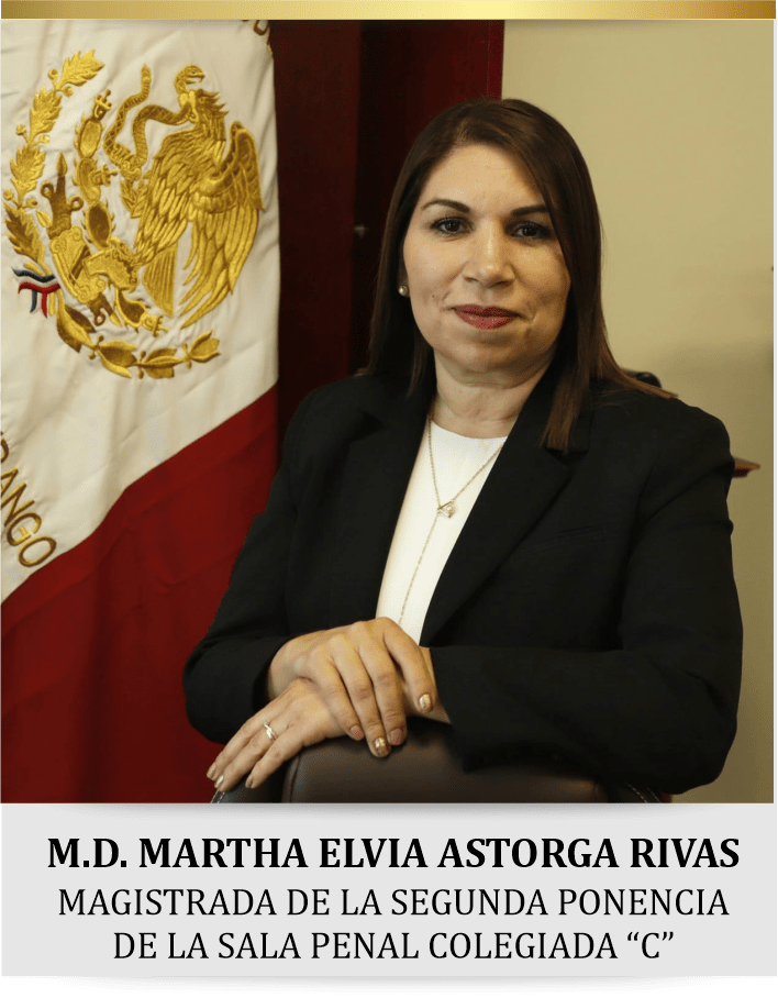 Tribunal Superior de Justicia