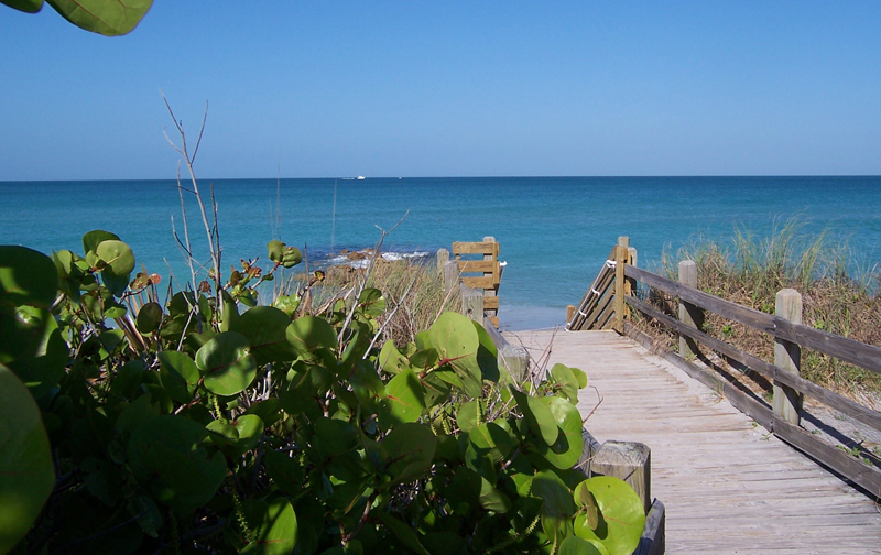 PJ Rentals Homes for Rent and Sale