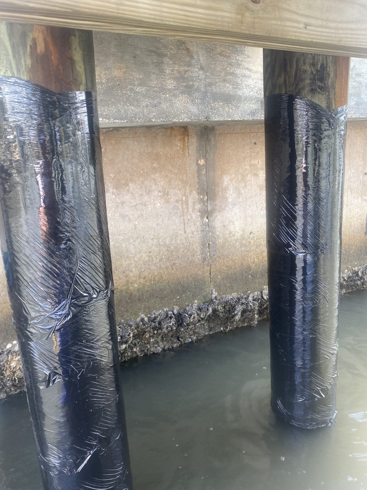 Dock Piling Repair | Tampa Bay, FL | PJs Divers and Docks