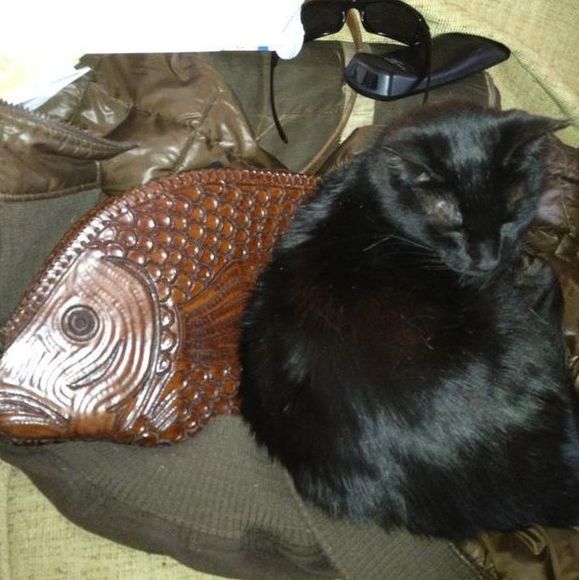 Joyce Richardson Facebook, Instagram & Twitter on PeekYou