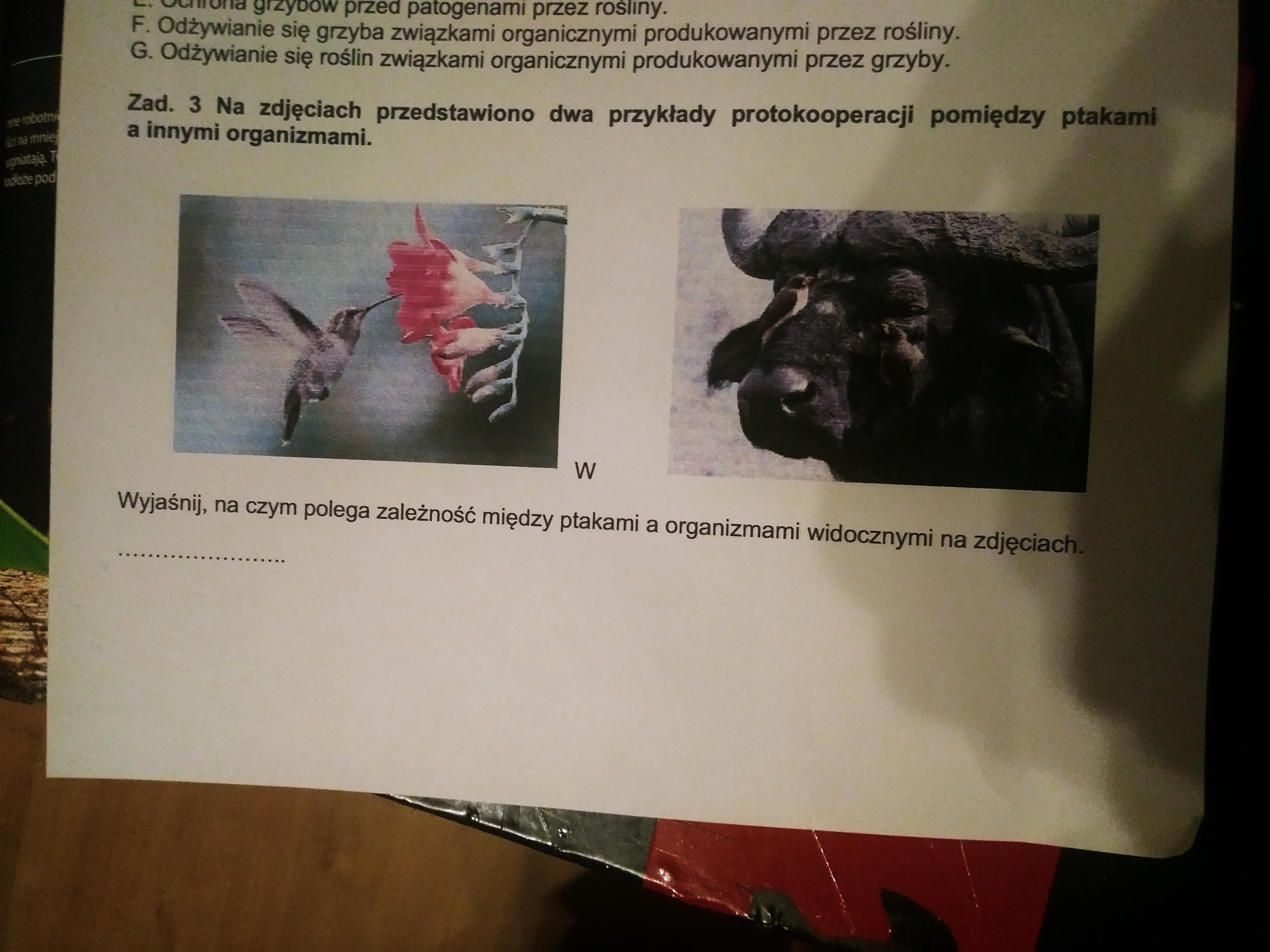 Na Zdjęciach Przedstawiono Dwa Przykłady