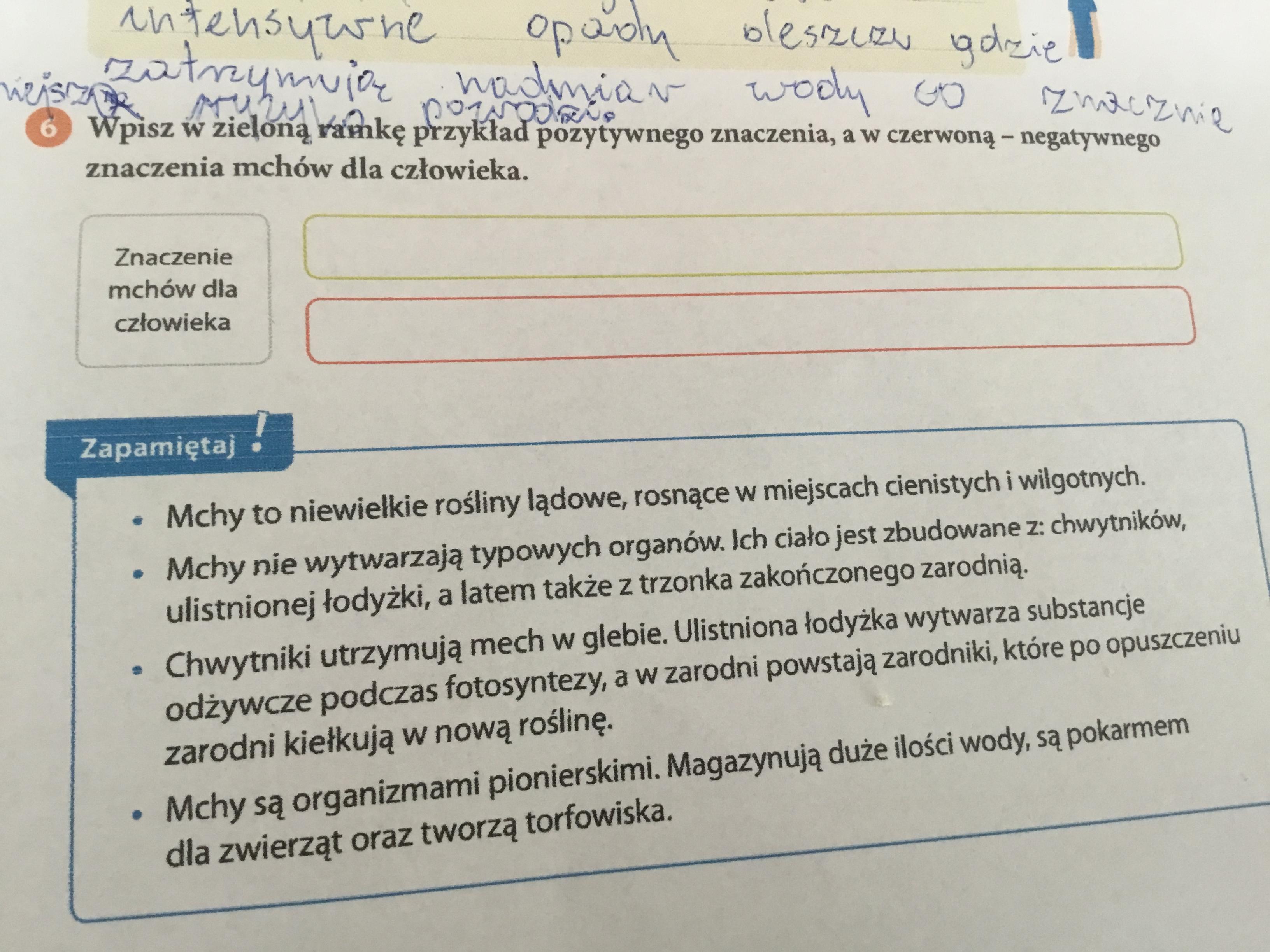 Wpisz w zieloną ramkę przykład pozytywnego znaczenia, a w czerwoną