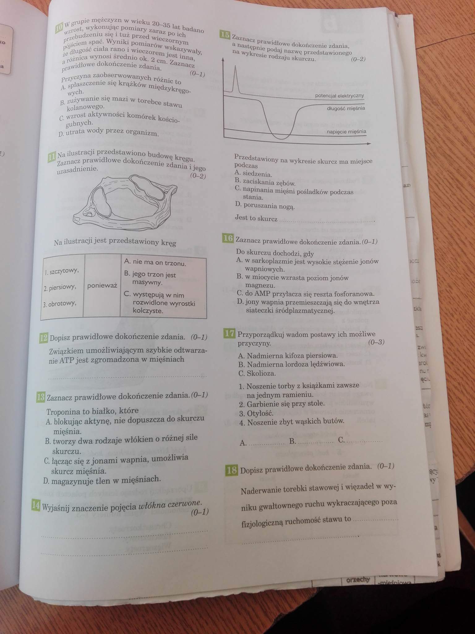 Biologia APARAT RUCHU testProszę o szybką pomoc Brainly.pl