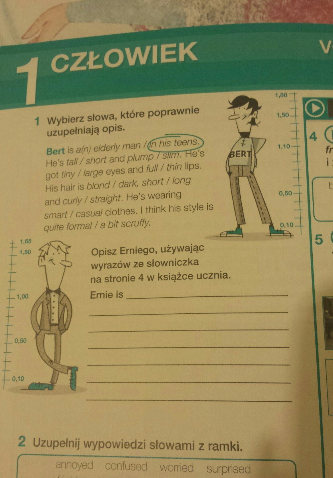 Wybierz słowa które poprawnie uzupełniają opis Brainly.pl