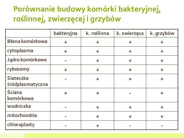 wymień różnice w budowie komurki bakterjnej , rośliny i zwierzeąt