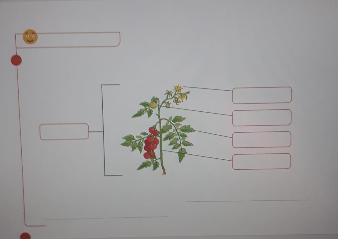 1. Wstaw w powyższe ramki odpowiednie nazwy.na jutro plis! Brainly.pl