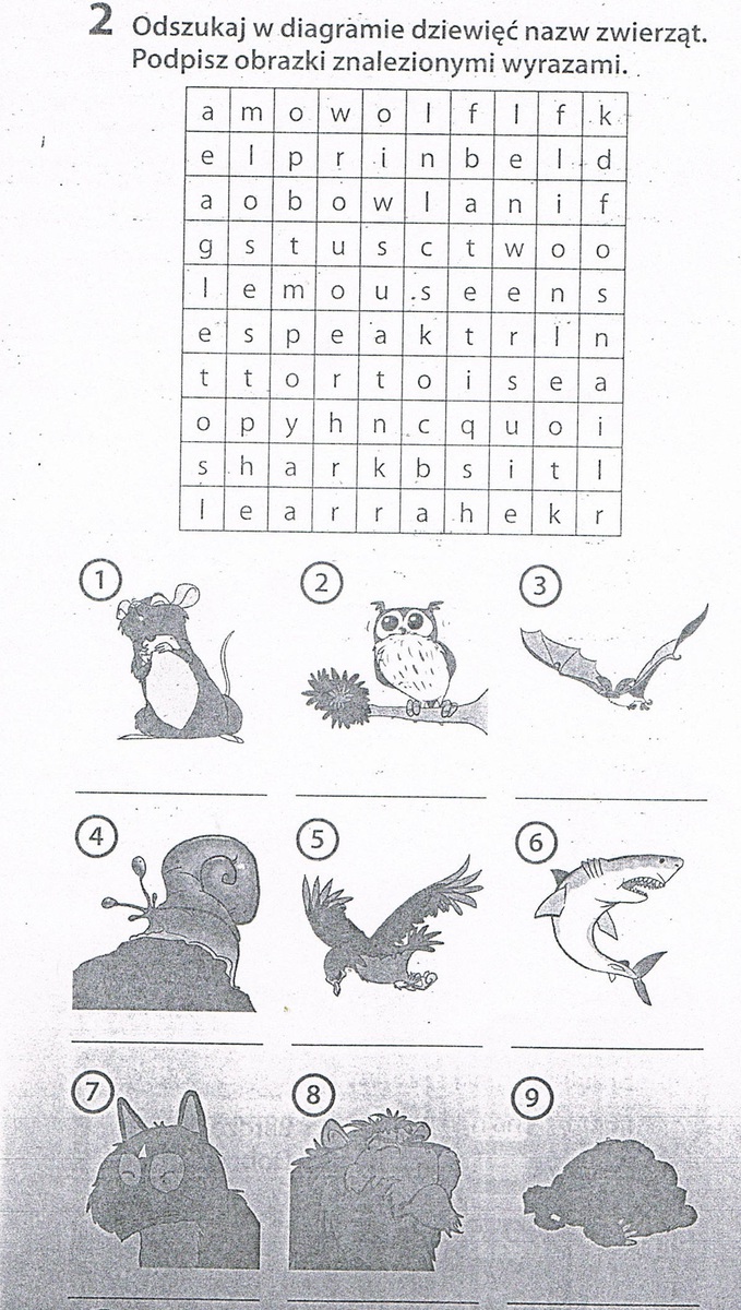 Steps in English 3, zadanie 2, strona 18. Odszukaj w diagramie dziewięć