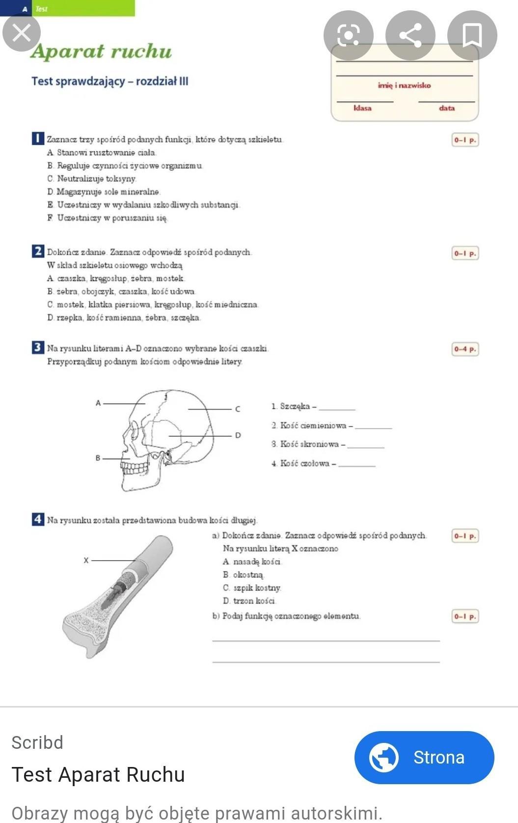 Pomóżcie pls daje naj Sprawdzian Aparat Ruchu klasa 7 Brainly.pl