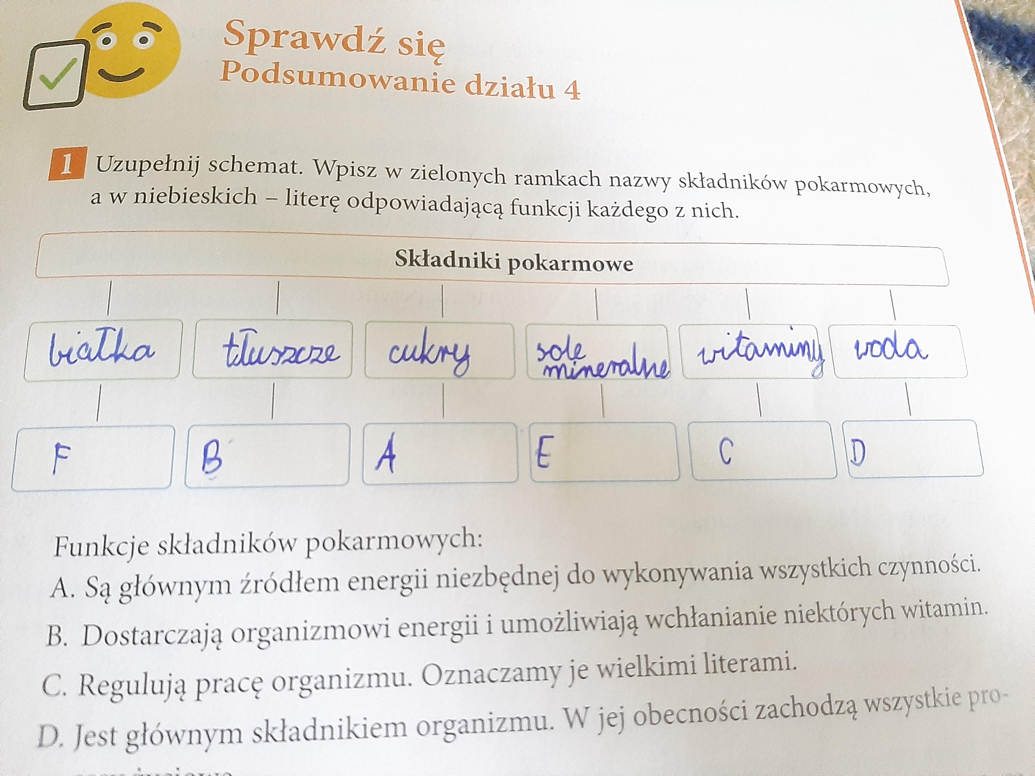 Uzupełnij Schemat Wpisz W Zielonych Ramkach Nazwy Składników Pokarmowych