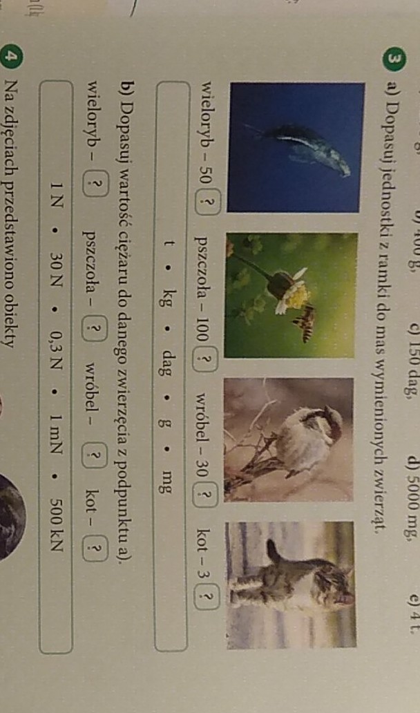 Dopasuj jednostki z ramki do mas wymienionych zwierząt Brainly.pl