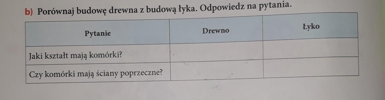Porównaj budowę drewna z budową łyka odpowiedz na pytania pytanie Jaki