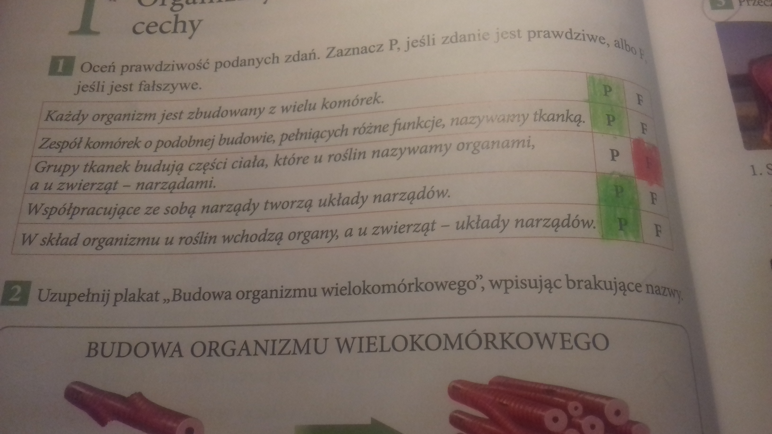 Oceń prawdziwość podanych zdań.Zaznacz P, jeśli zdanie jest prawdziwe