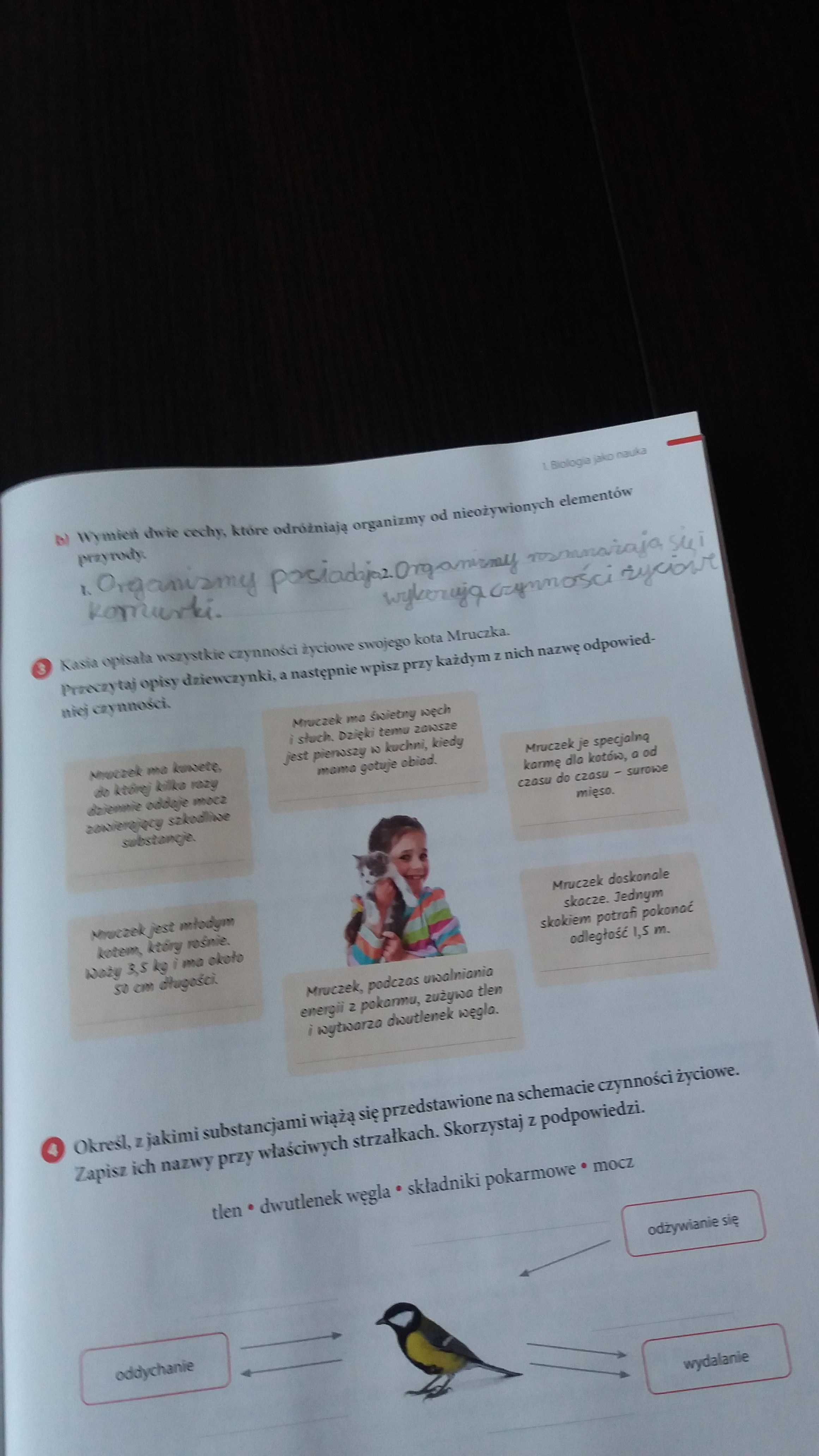 Kasia opisała wszystkie czynności życiowe swojego kota Mruczka