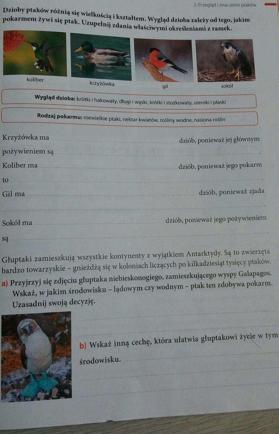 Bardzo prosze o pomoc.Bezbadziejne odpowiedzi odrazu zgłaszam. Brainly.pl