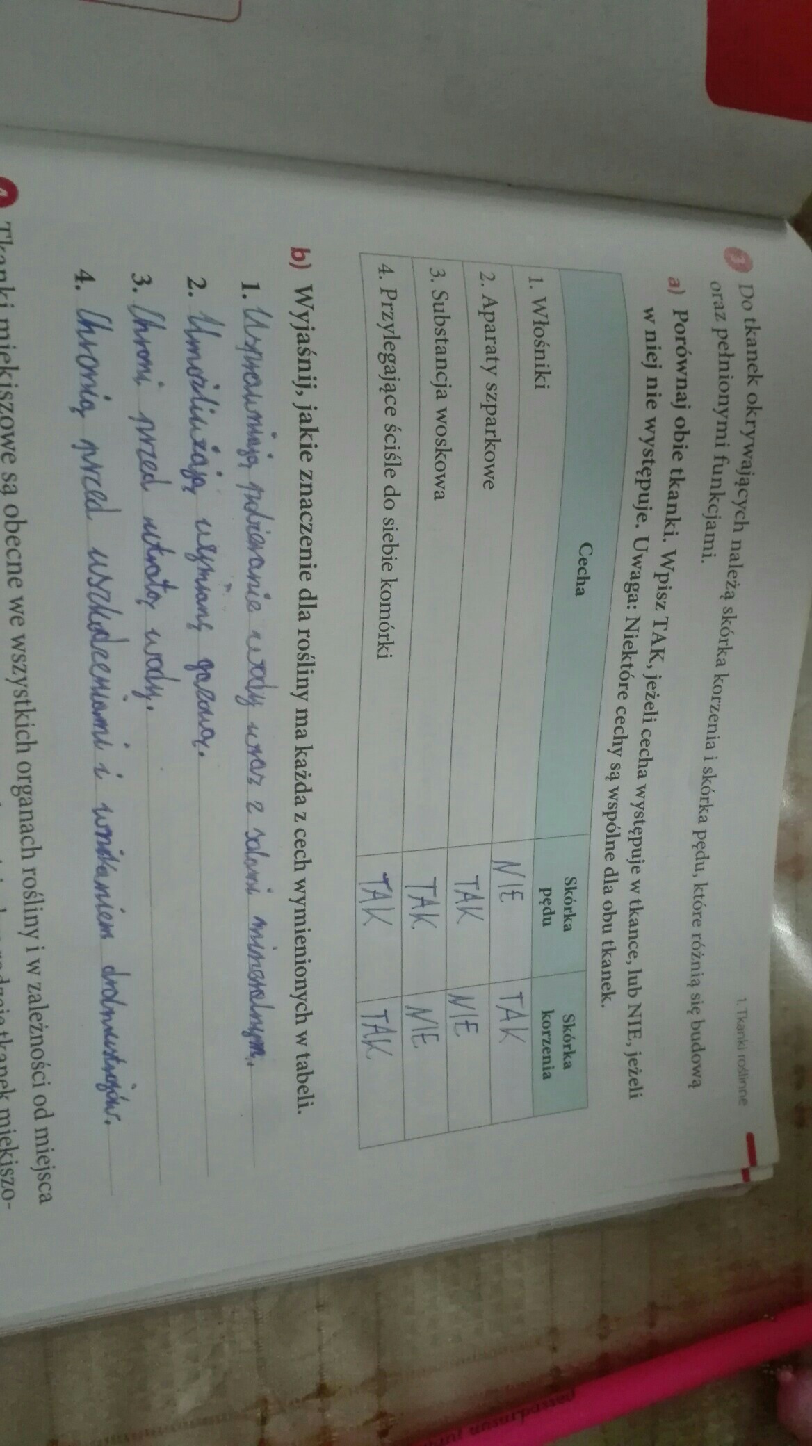 do tkanek okrywających należą skórka korzenia i skórka pędu które