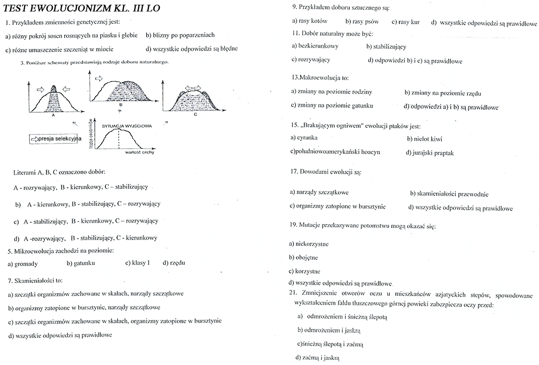 Test ewolucjonizm KL 3 LO (w załączniku) Brainly.pl